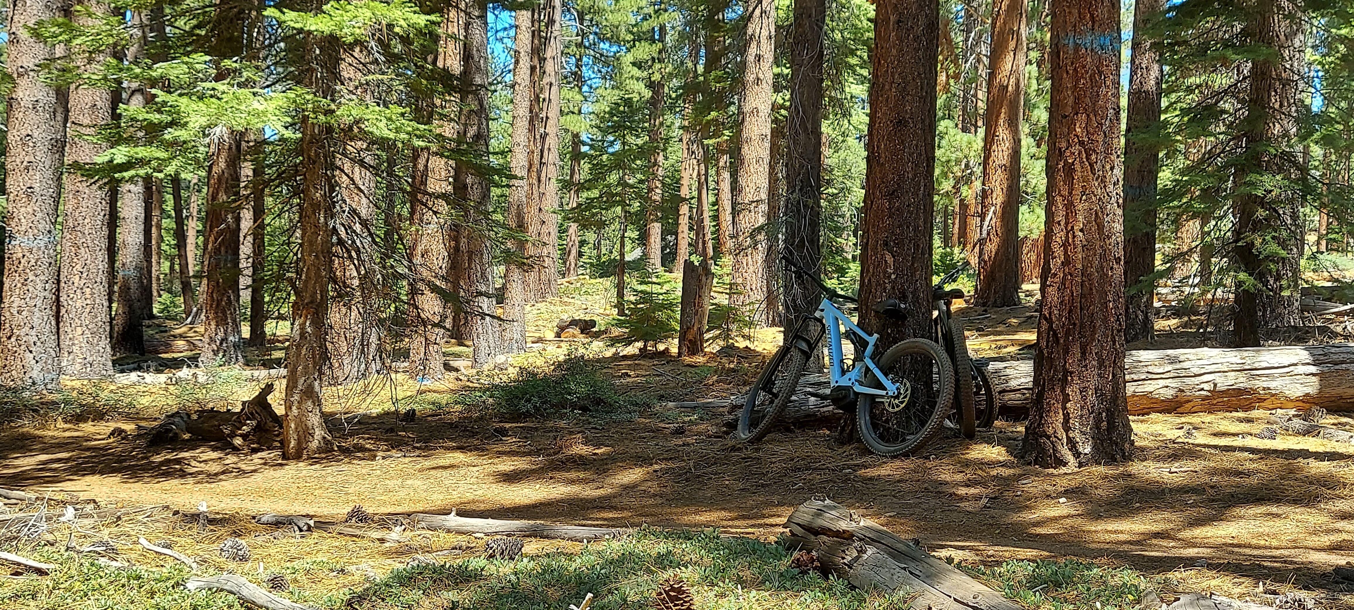 Bike trails close by
