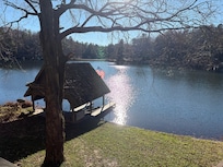 View from the deck