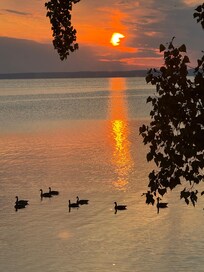 Sunrise every morning.