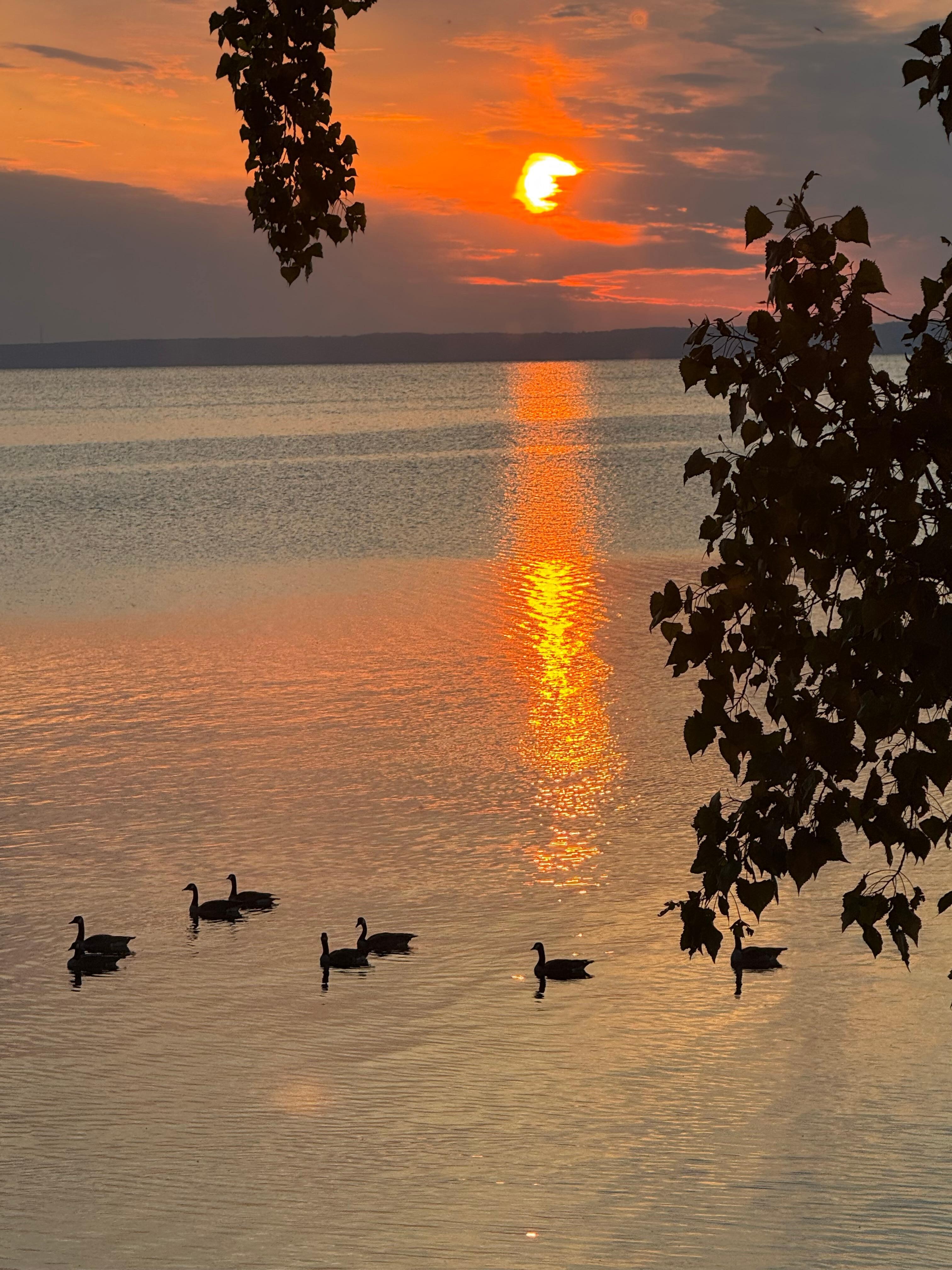Sunrise every morning. 