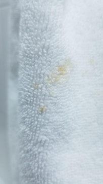 They provided white towels which were all stained and needed bleach or replacement