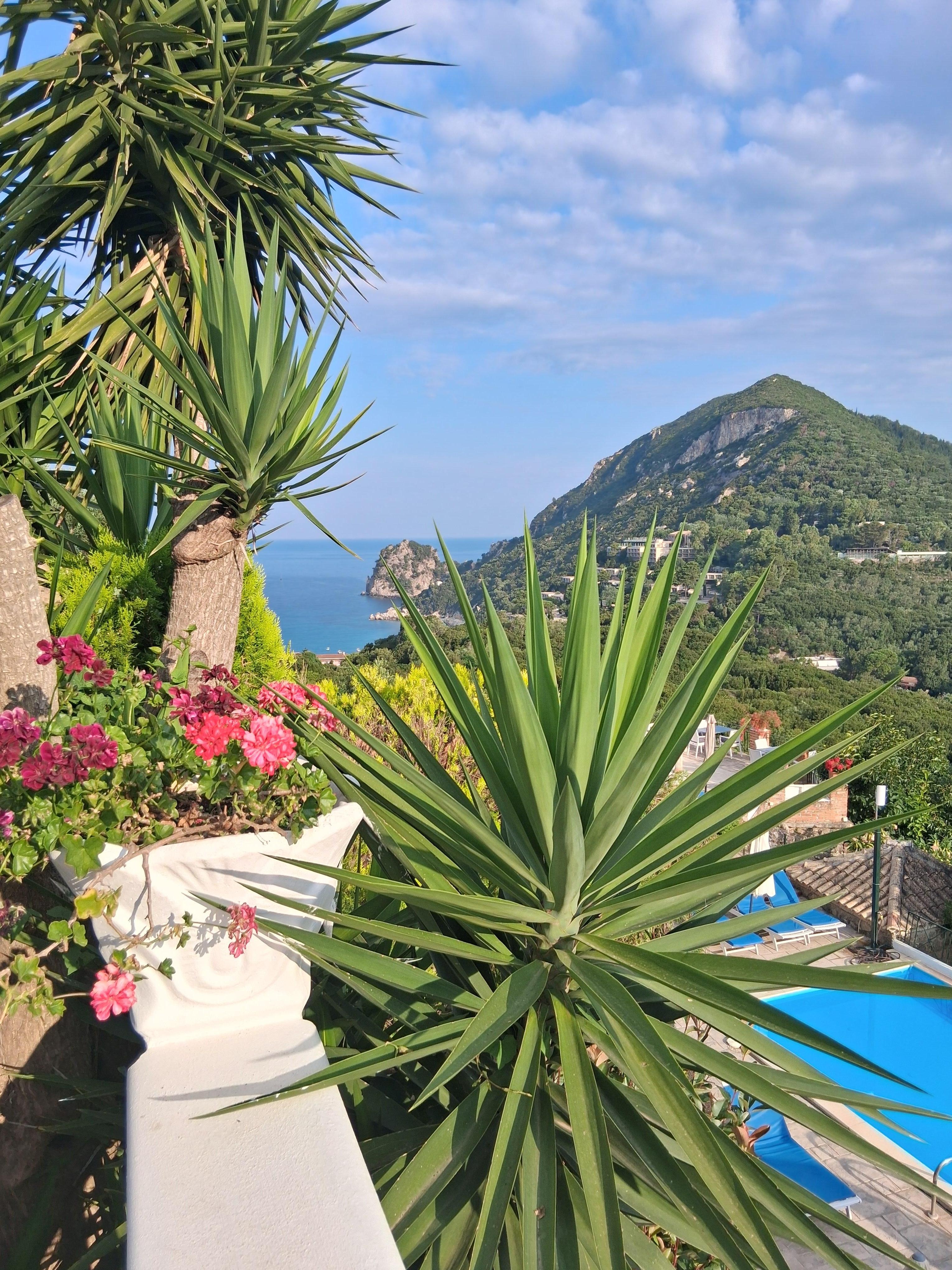 View from apartment patio.