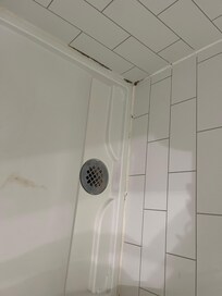 Mold