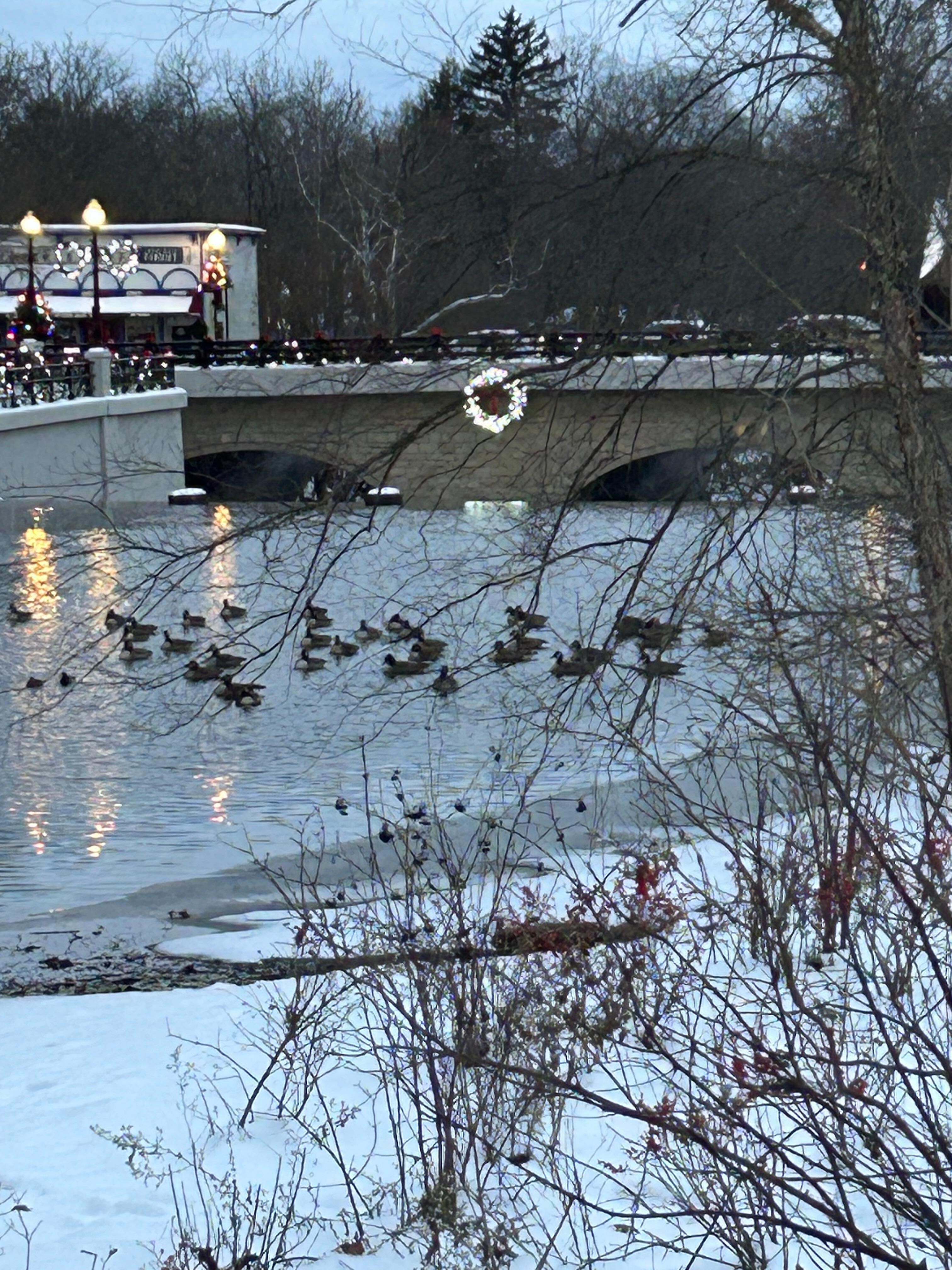 Beautiful in the morning too