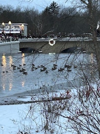 Beautiful in the morning too