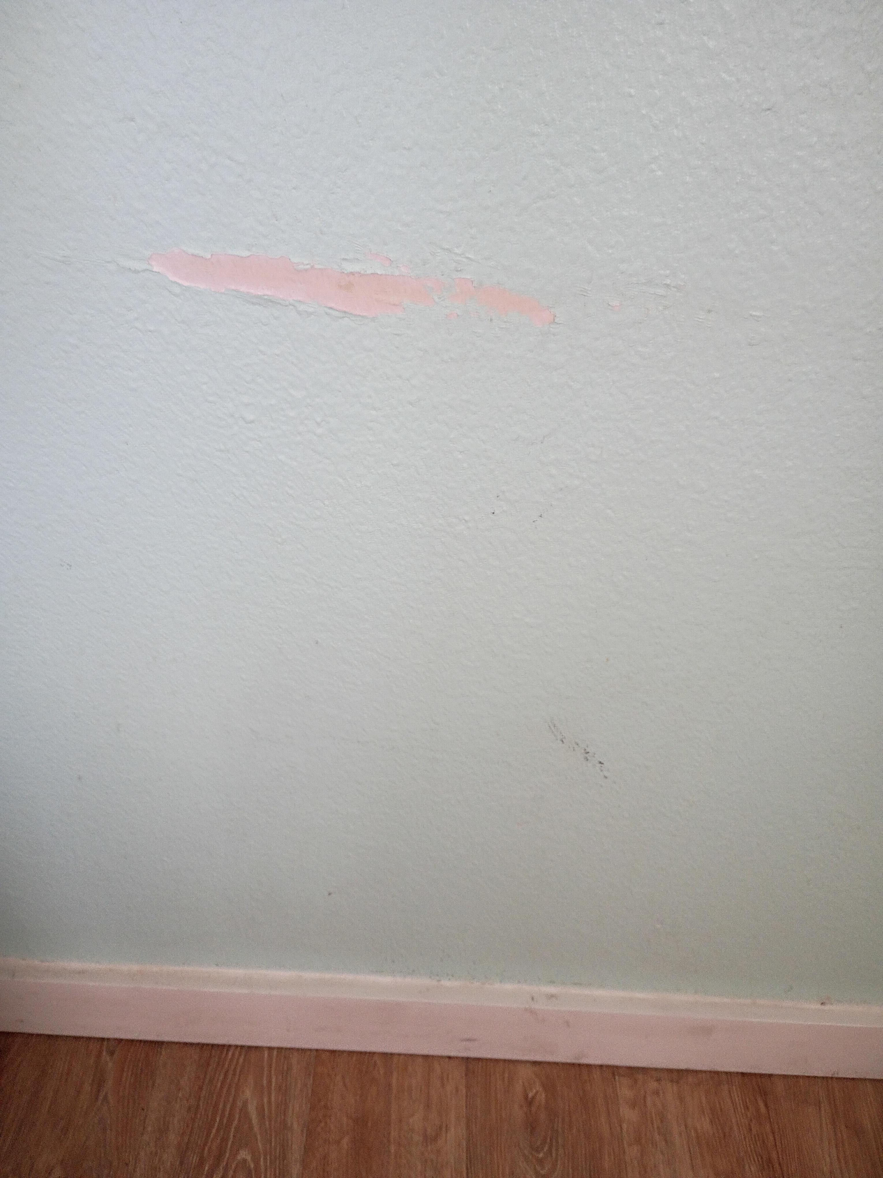 Wall by bed