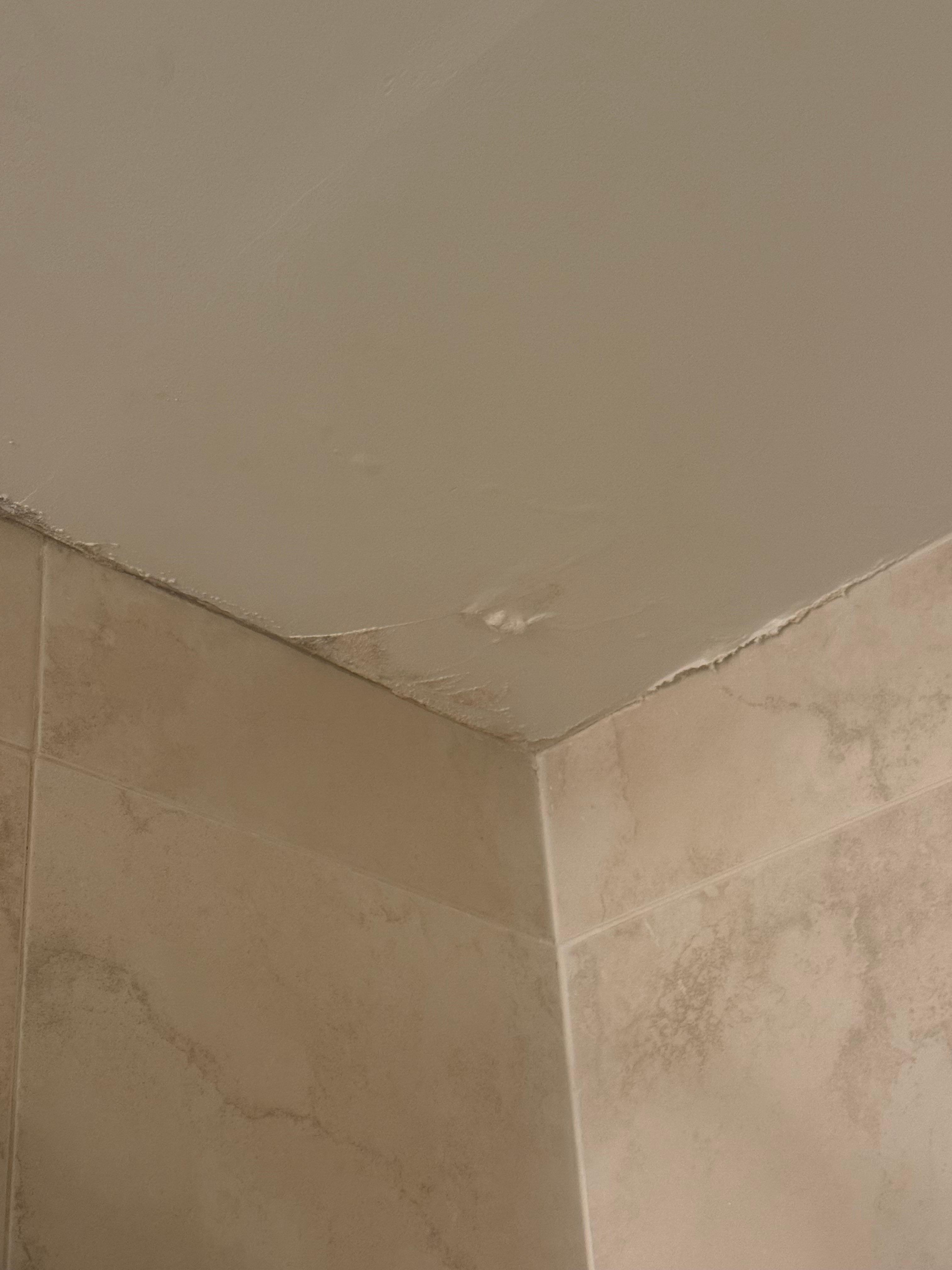 Bathrooms are absolutely disgusting 