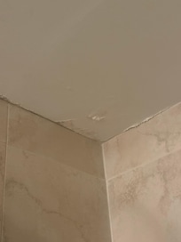 Bathrooms are absolutely disgusting