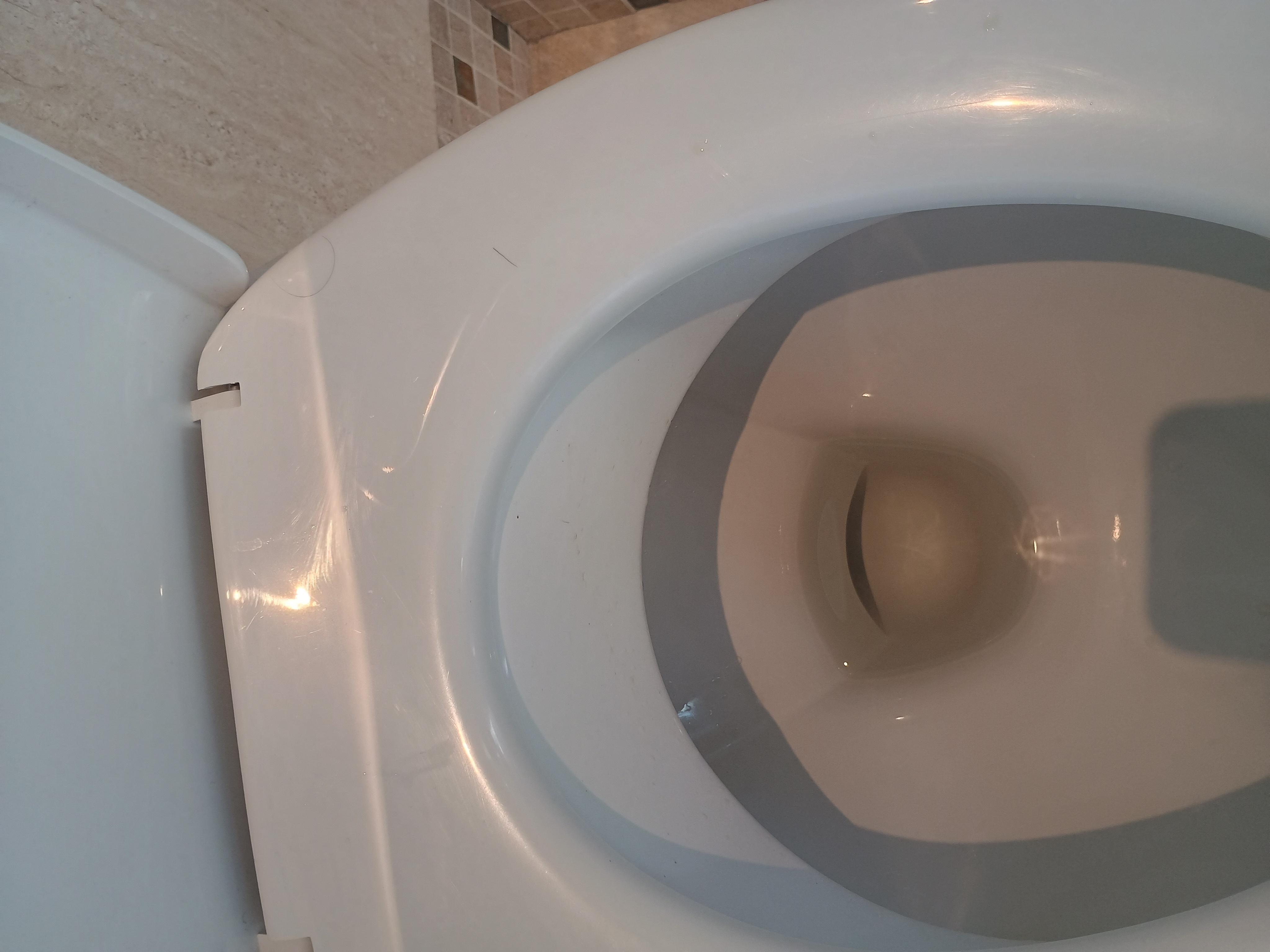 Hairs on toilet