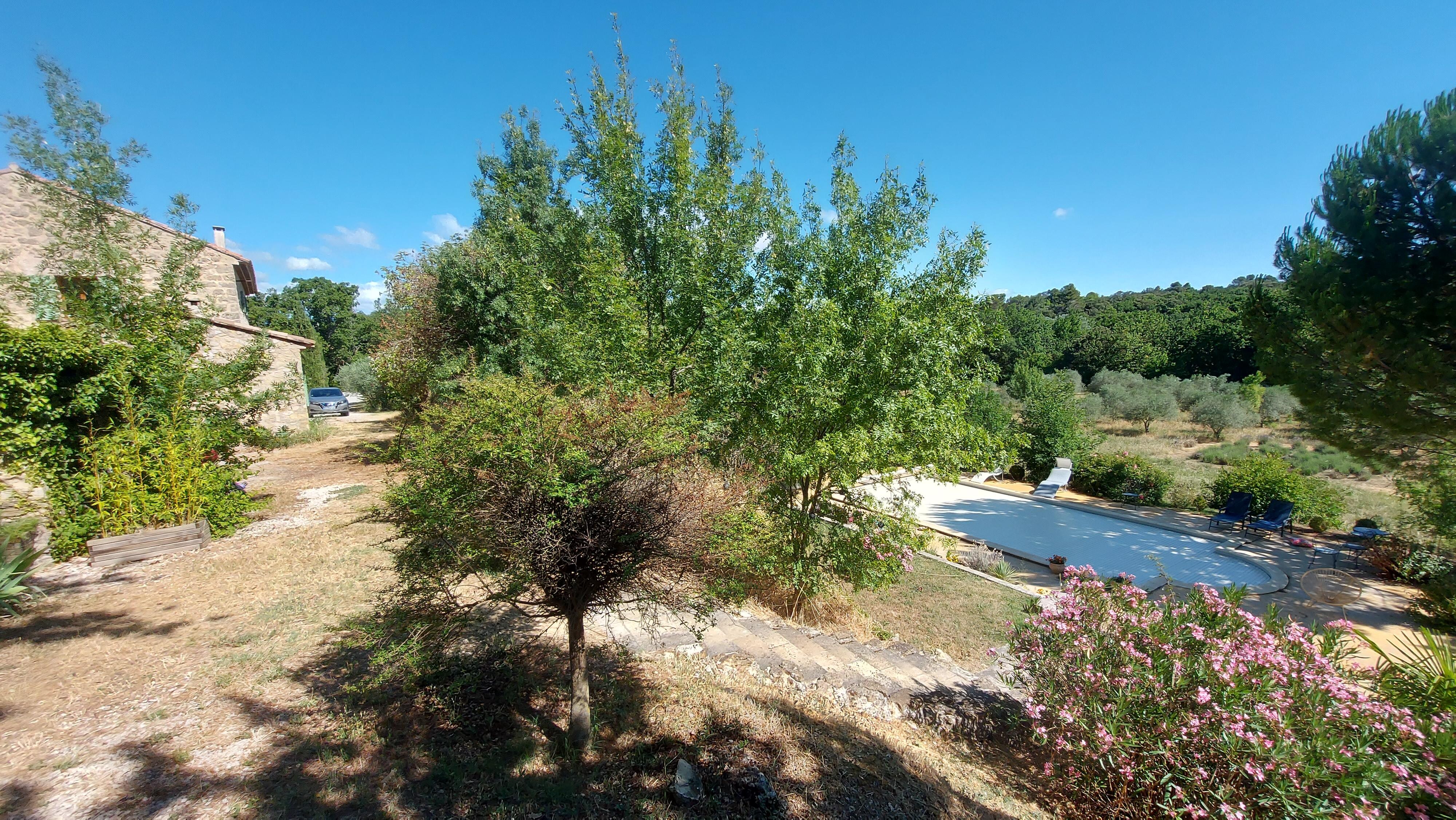 Blick vom Ferienhaus über Garten und Pool.