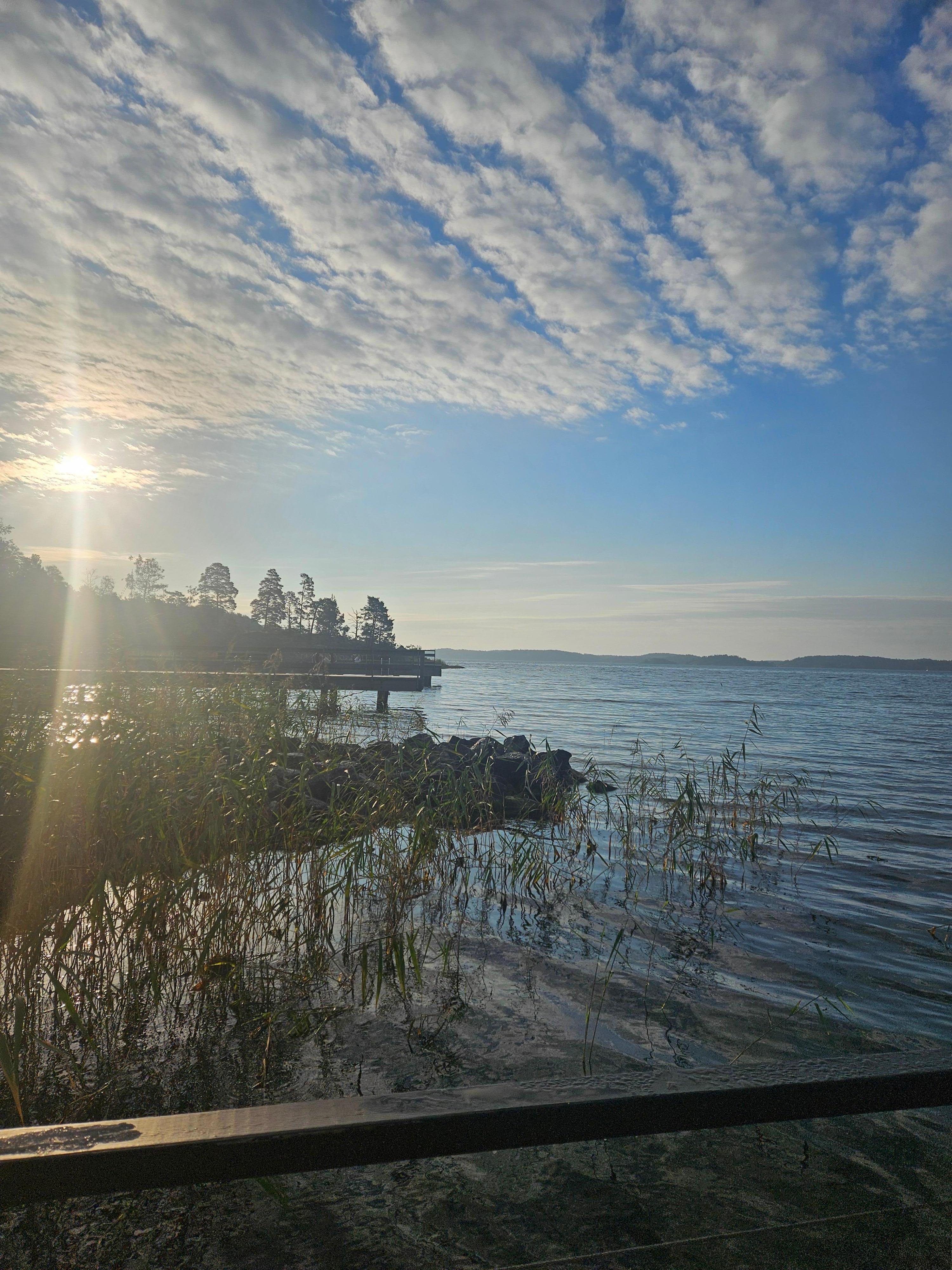 Morgonen vid havet