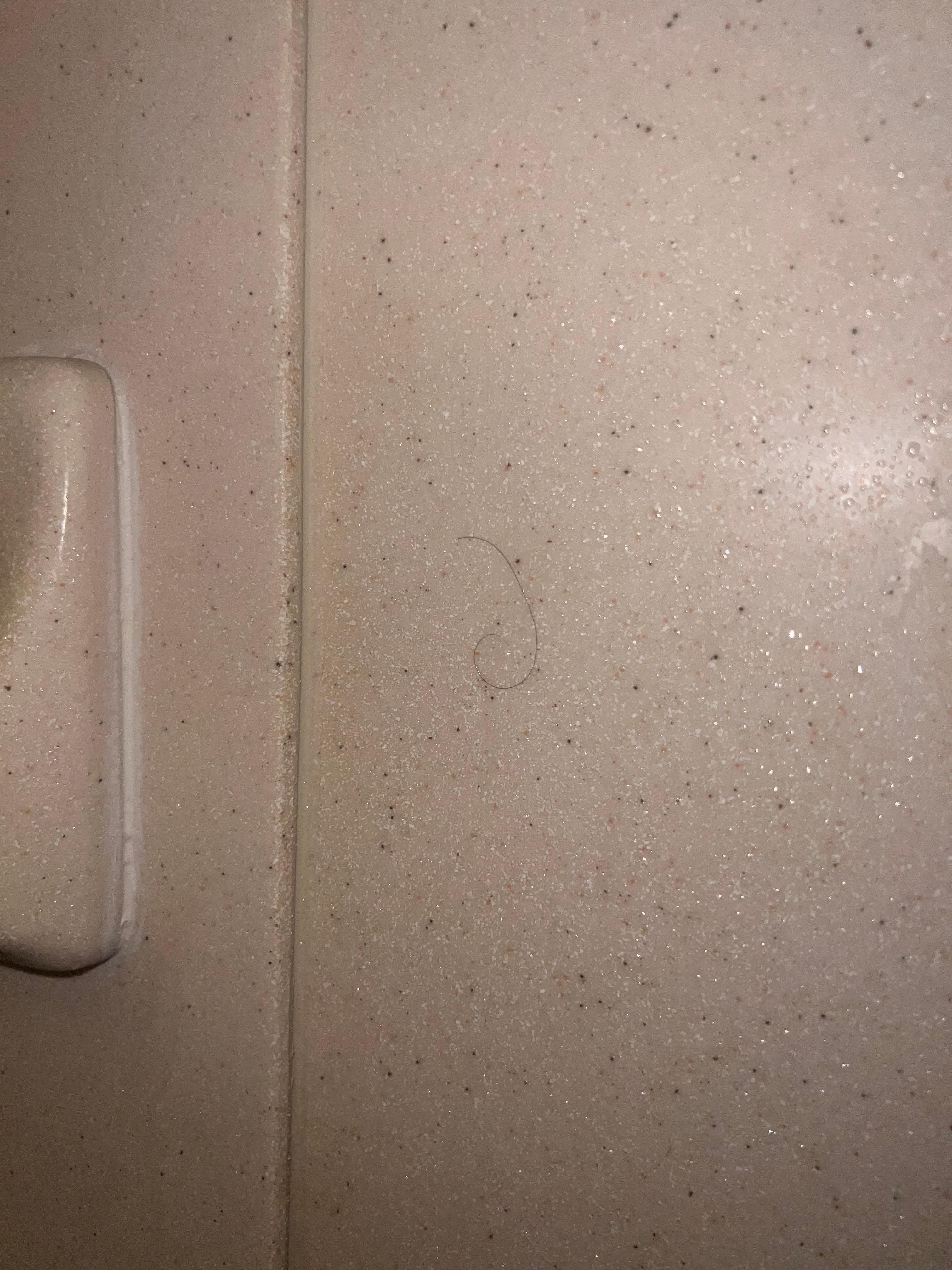 Hair on the wall