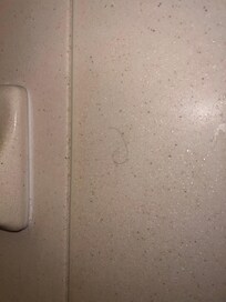 Hair on the wall