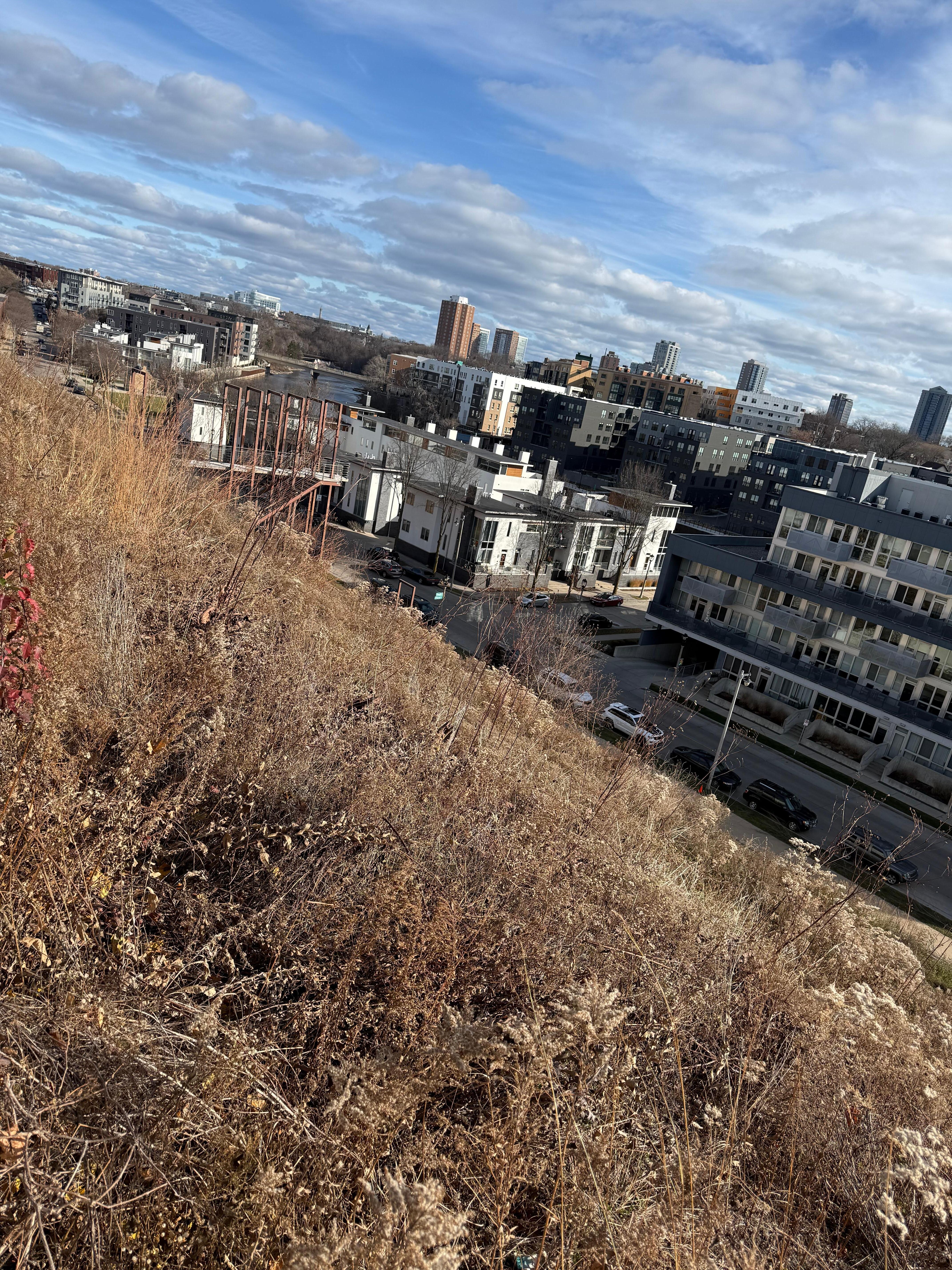 View from the living room window.