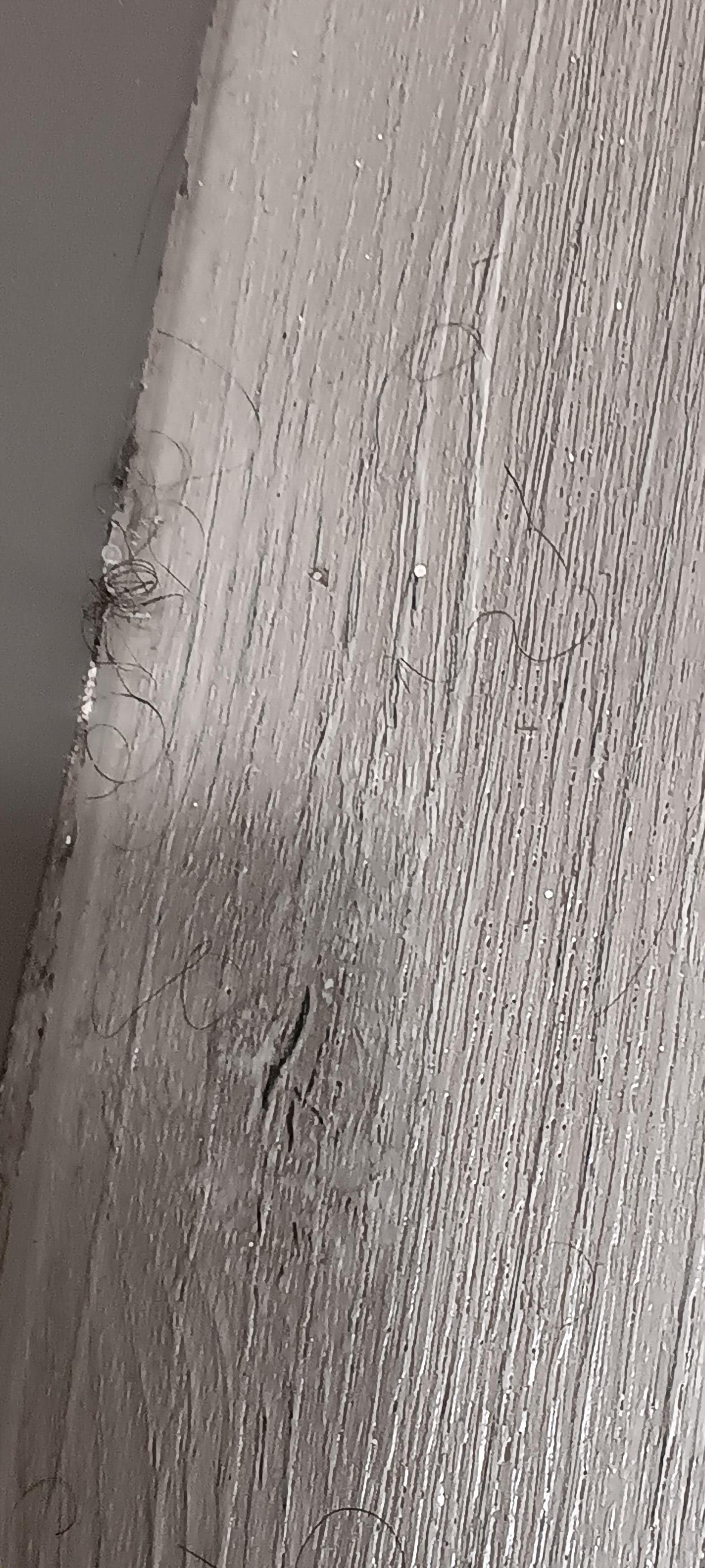 Hair from the previous quests behind the bathroom door.