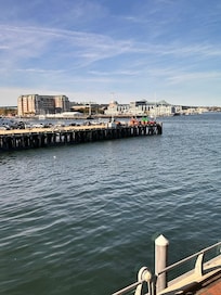 Room with a view