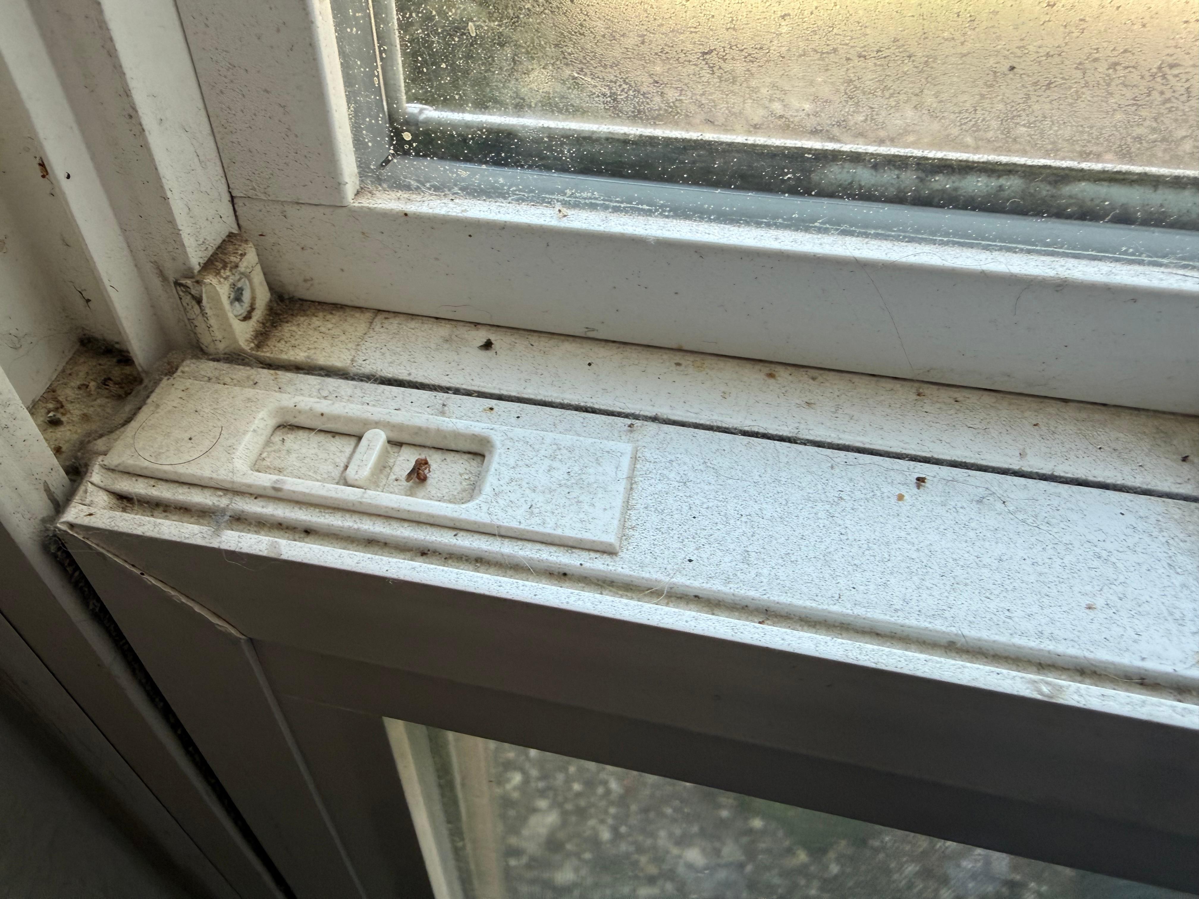 Professionally cleaned. 