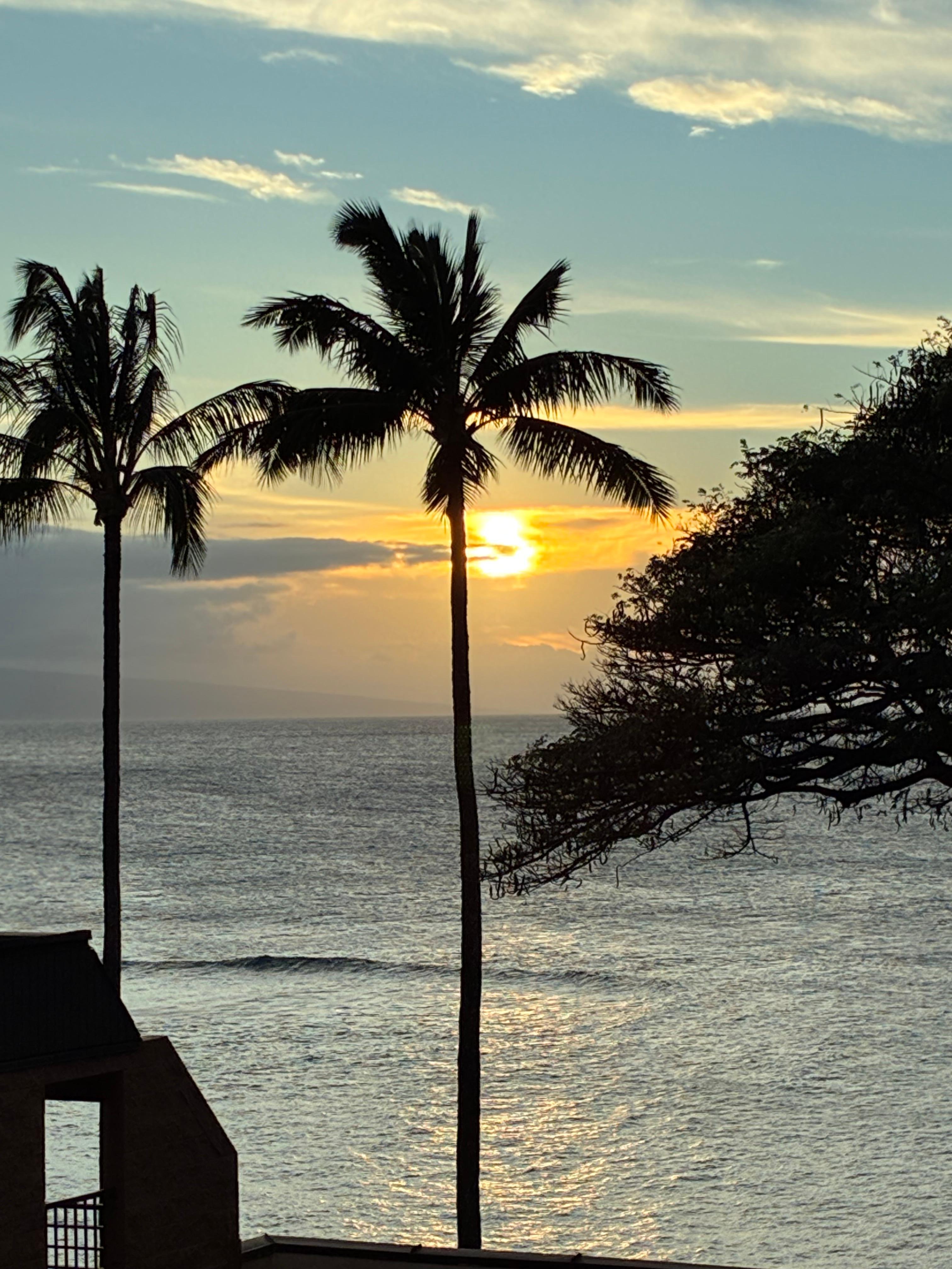 Love the view from lanai 🌴☀️