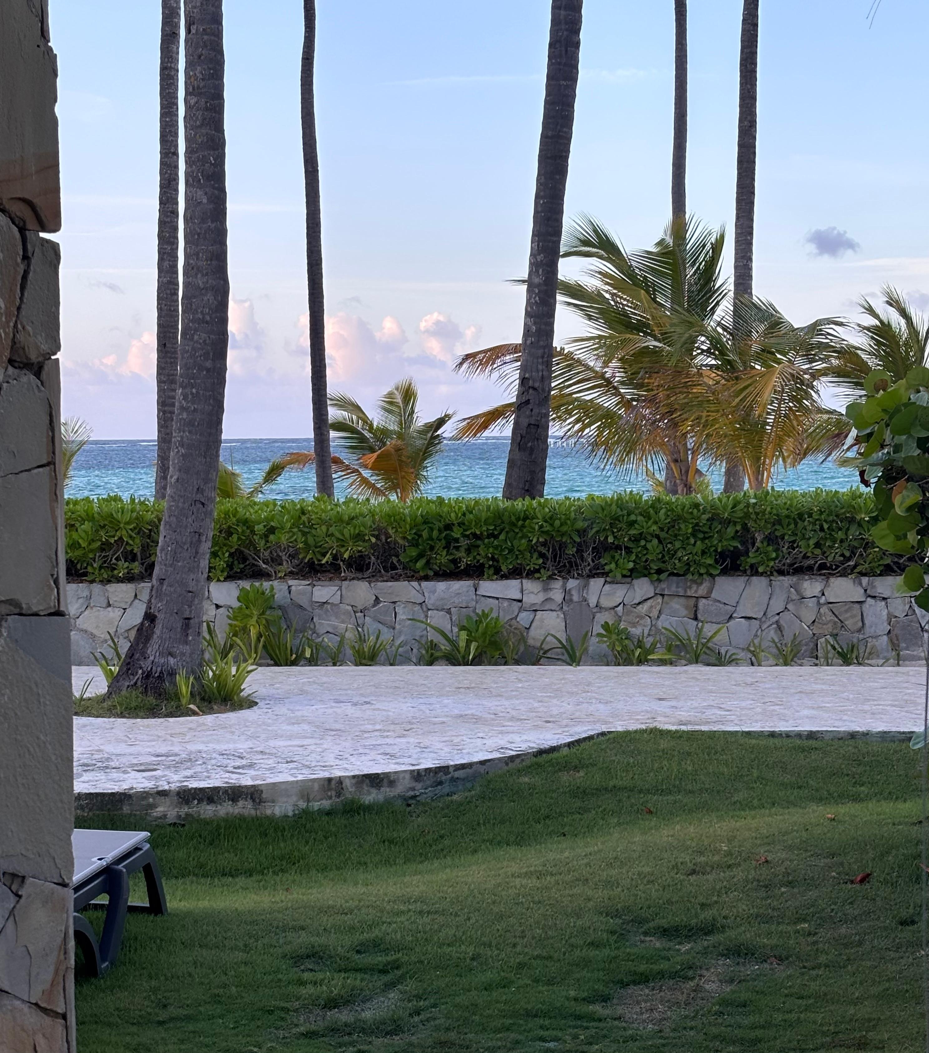  Mick aus unserem Zimmer 