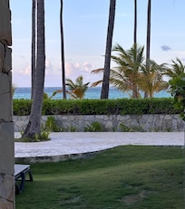 Mick aus unserem Zimmer