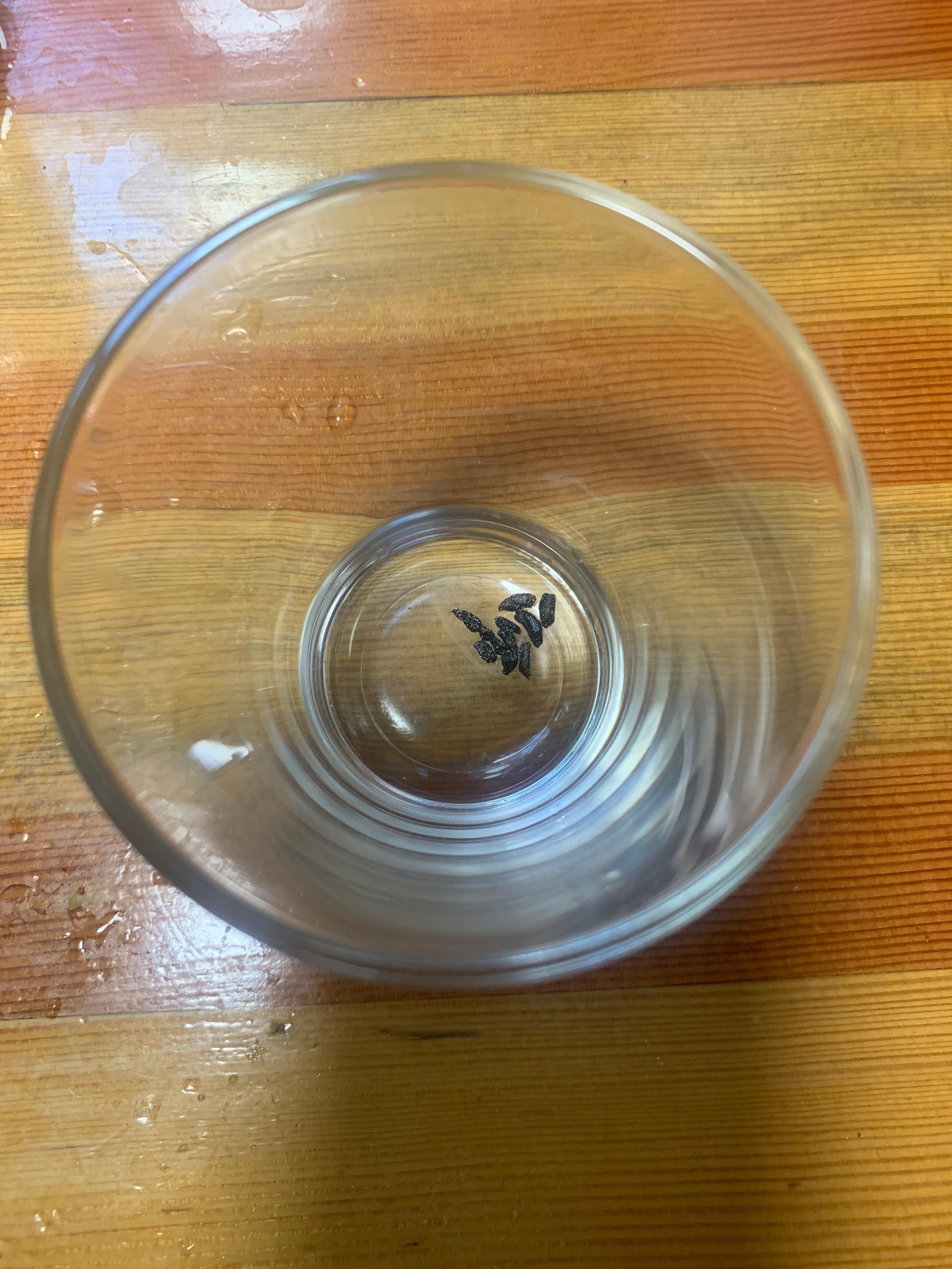 mouse droppings in the glassware found on shelf above the food counter