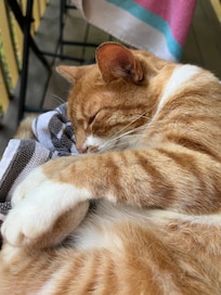 We called her Cheese. :)