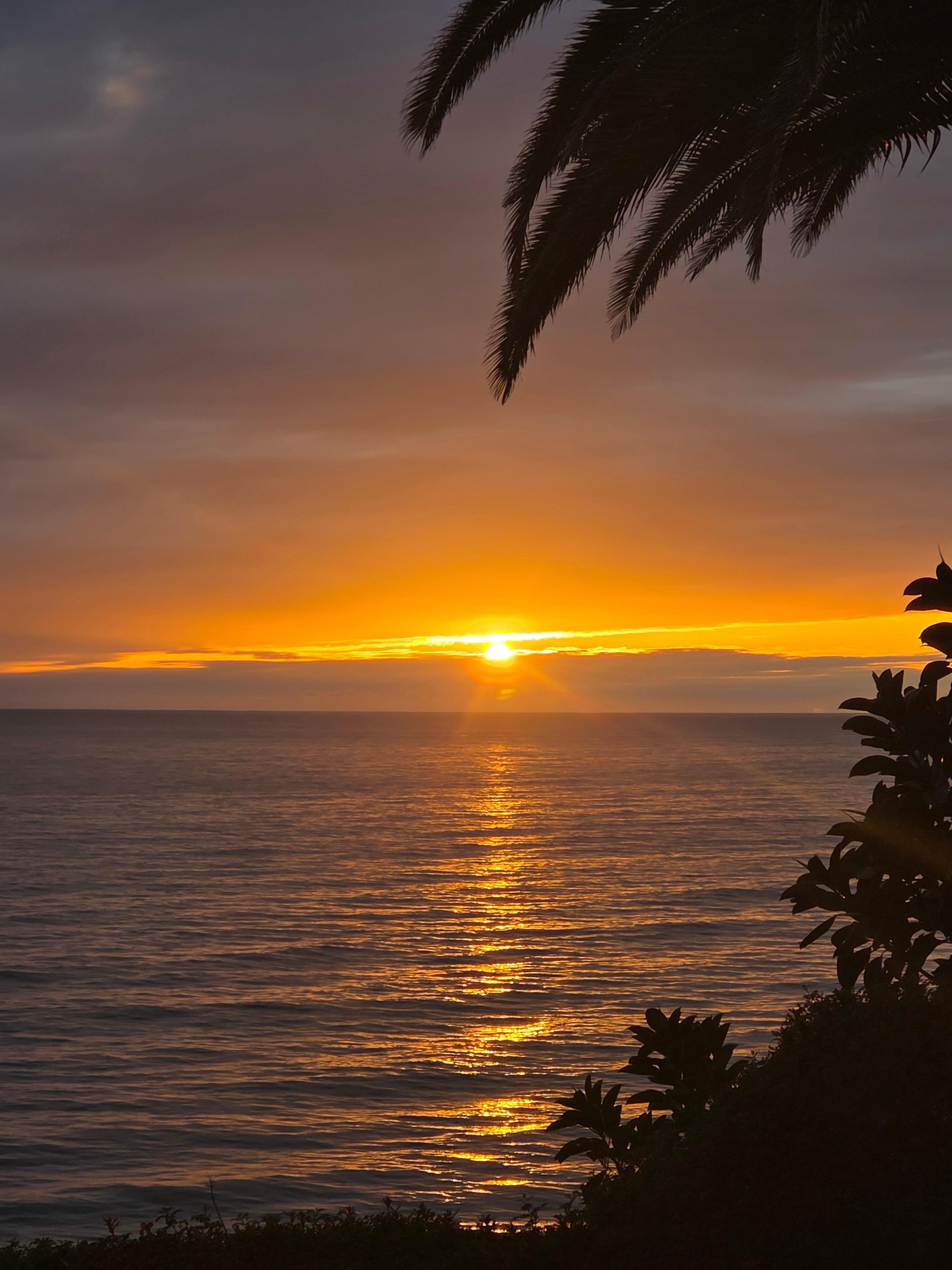 Sunset on 1/1/26
Leslie Park