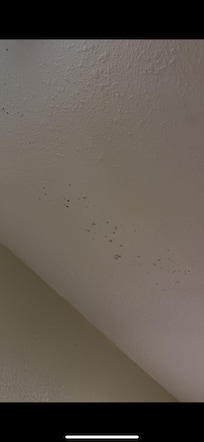 Black mold in bathroom