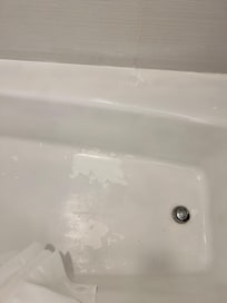 Mold everywhere