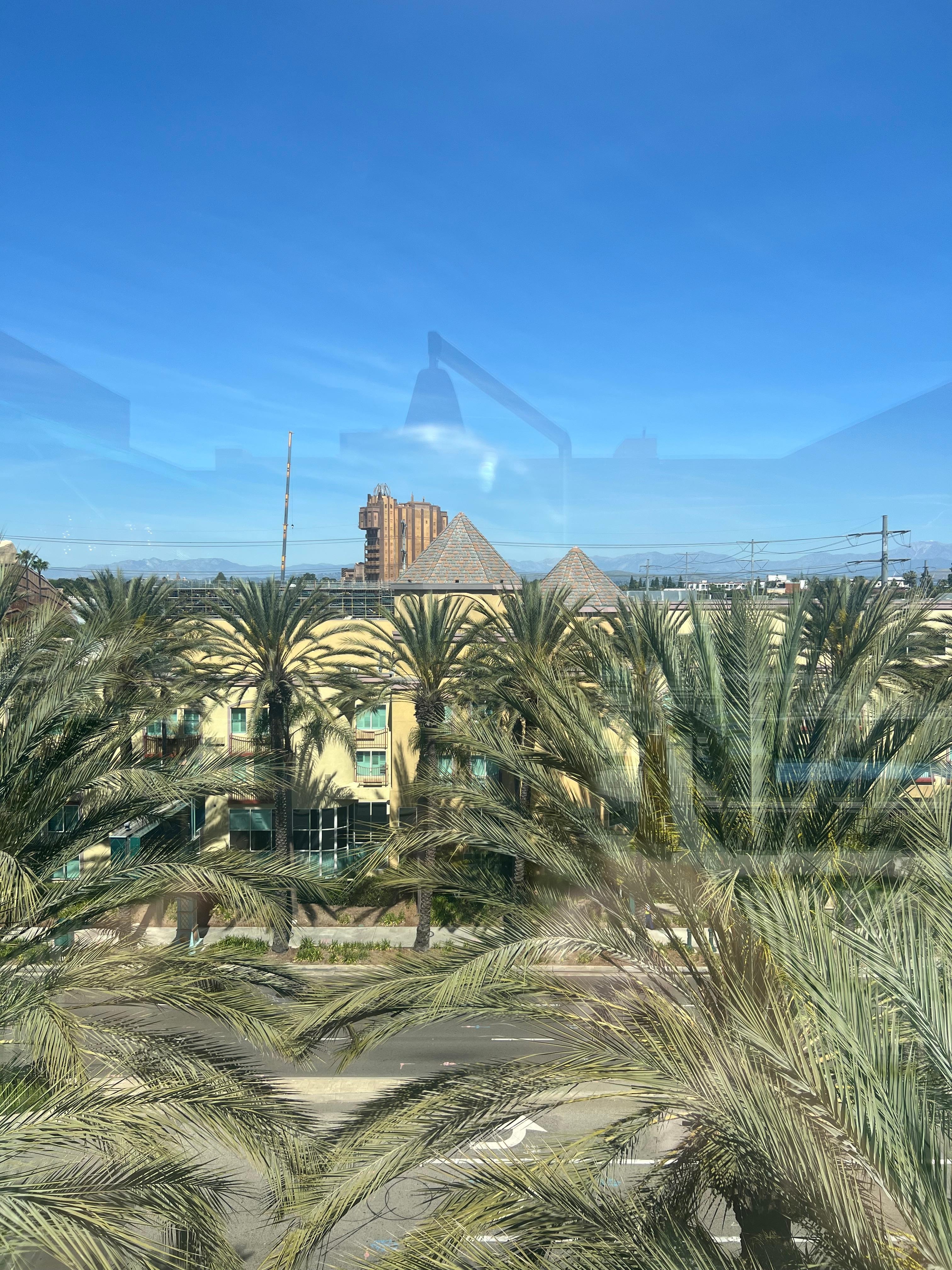 Rooftop view by the pool