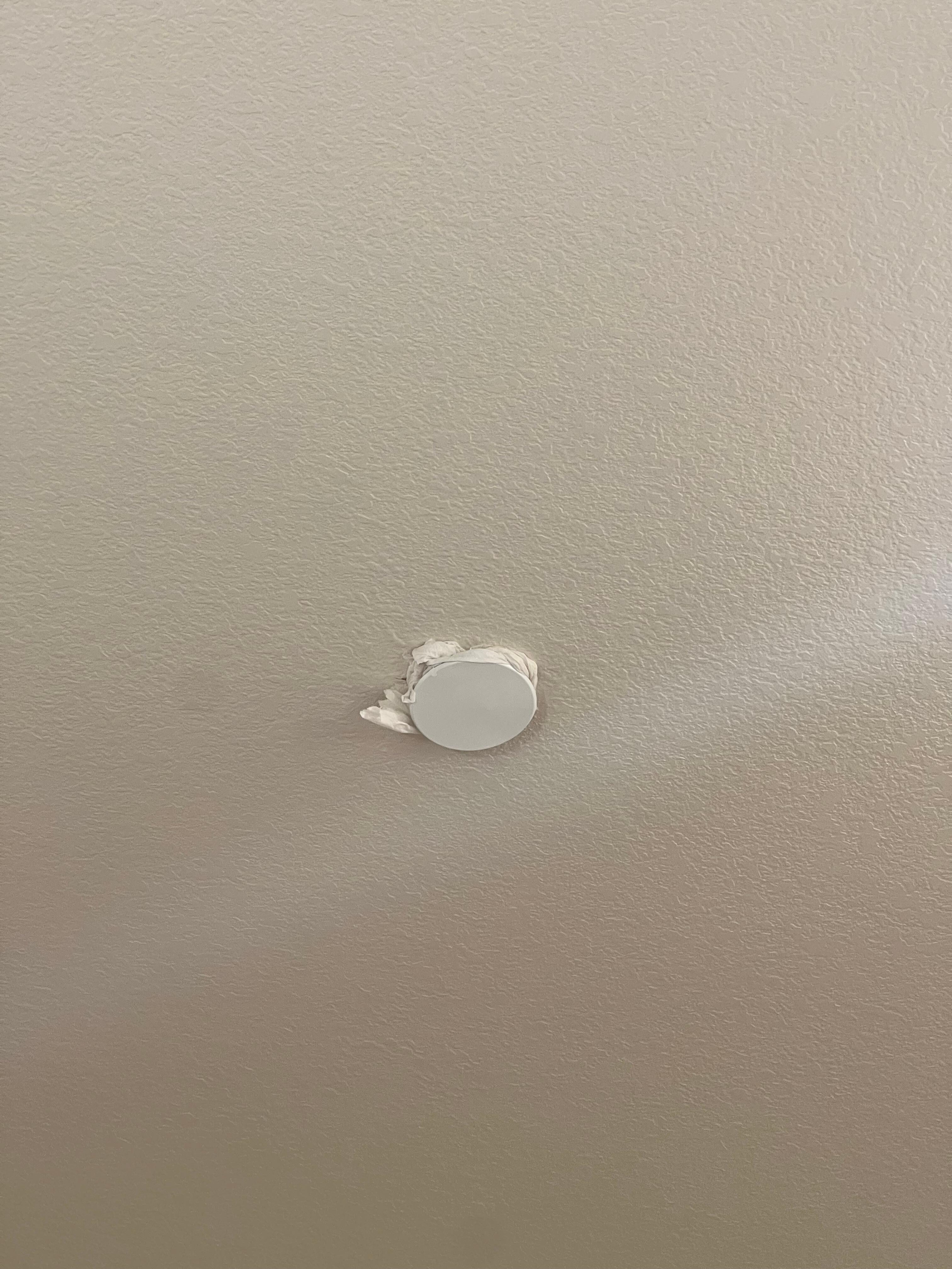 Someone had tissues stuffed in the ceiling caps where we suspect cockroaches were hiding 