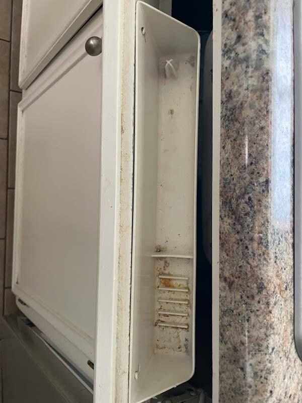 Rat droppings in kitchen