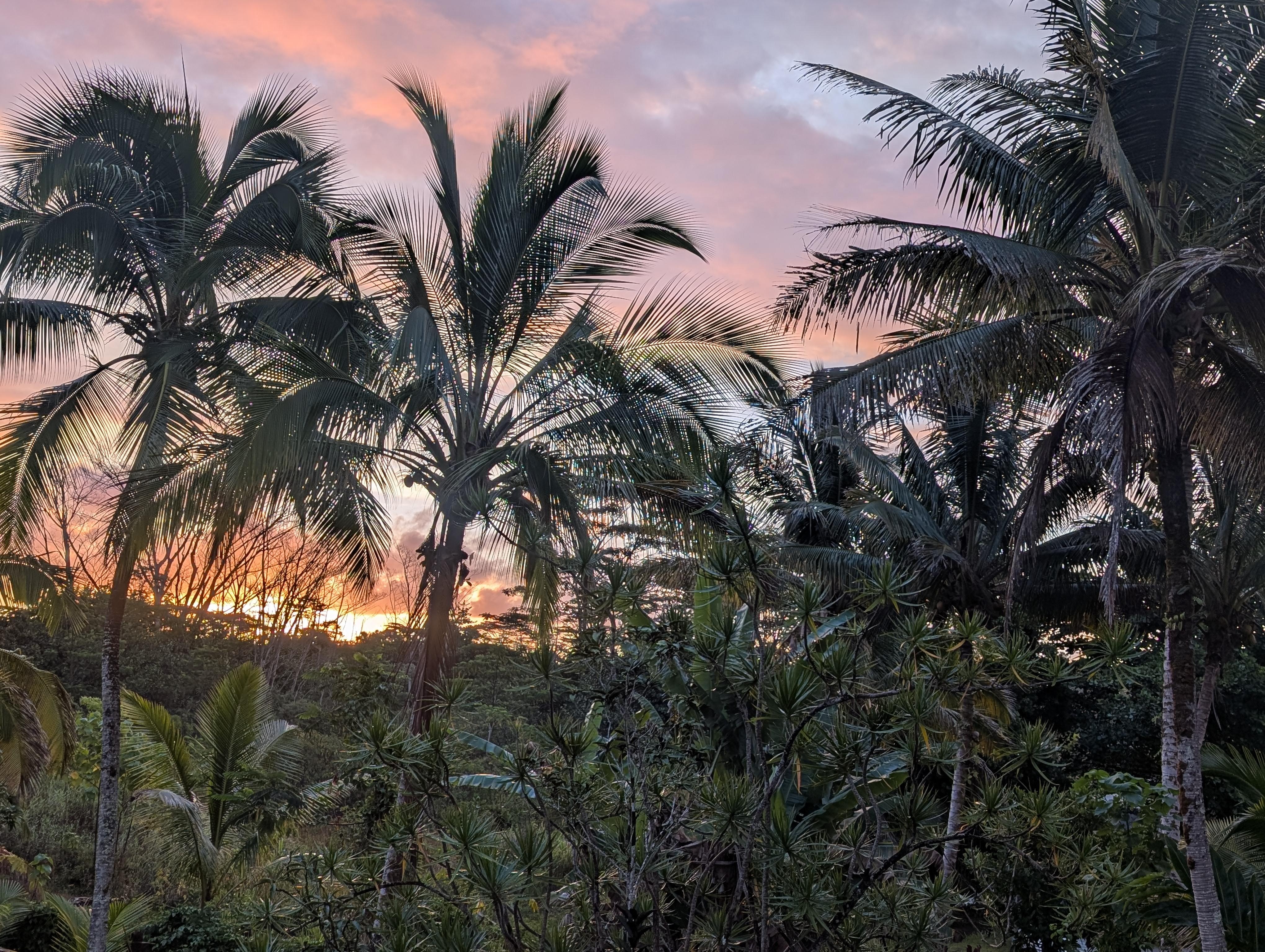 Sunrise from the balcony 