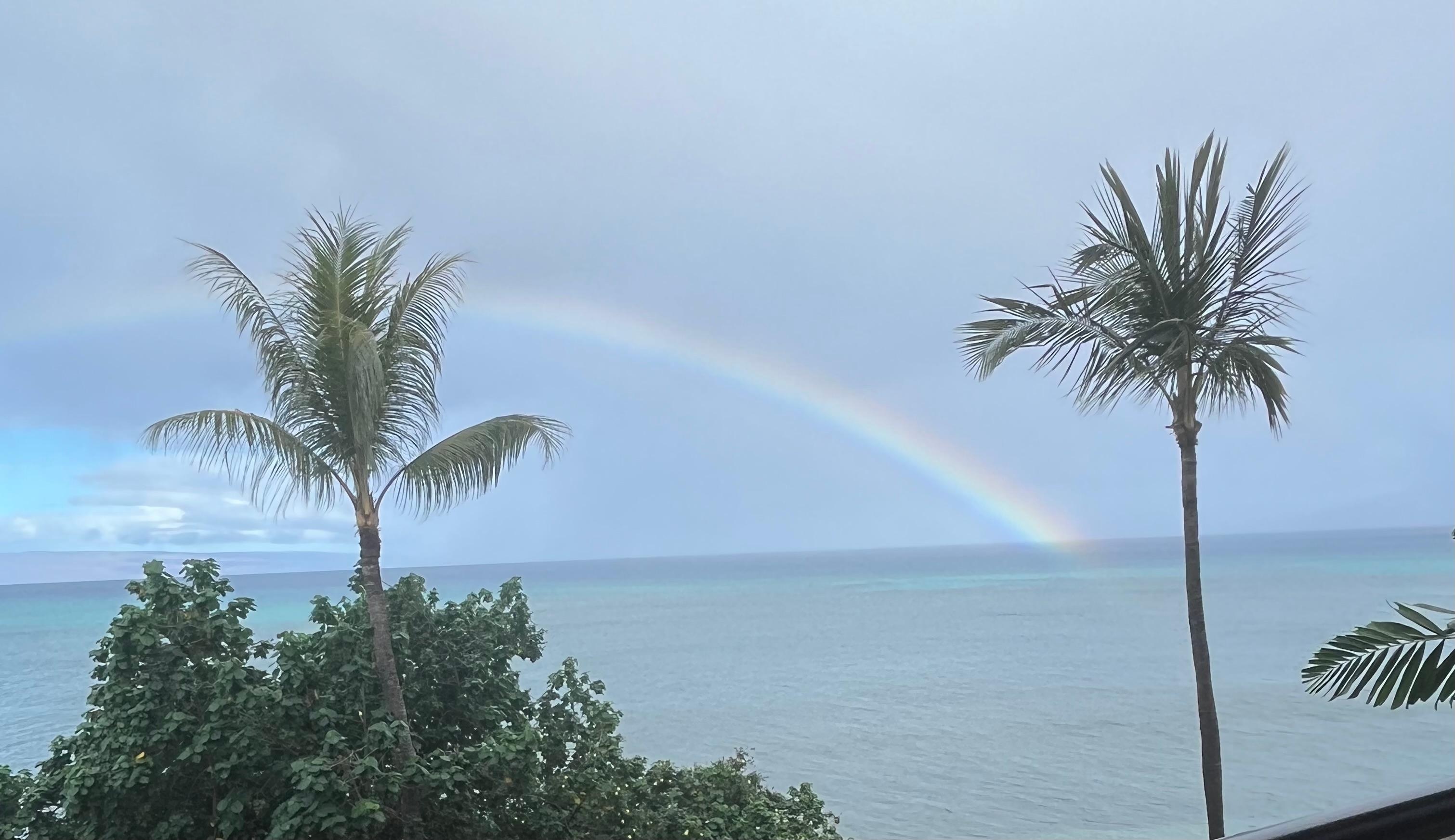 Even a beautiful rainbow one day. 