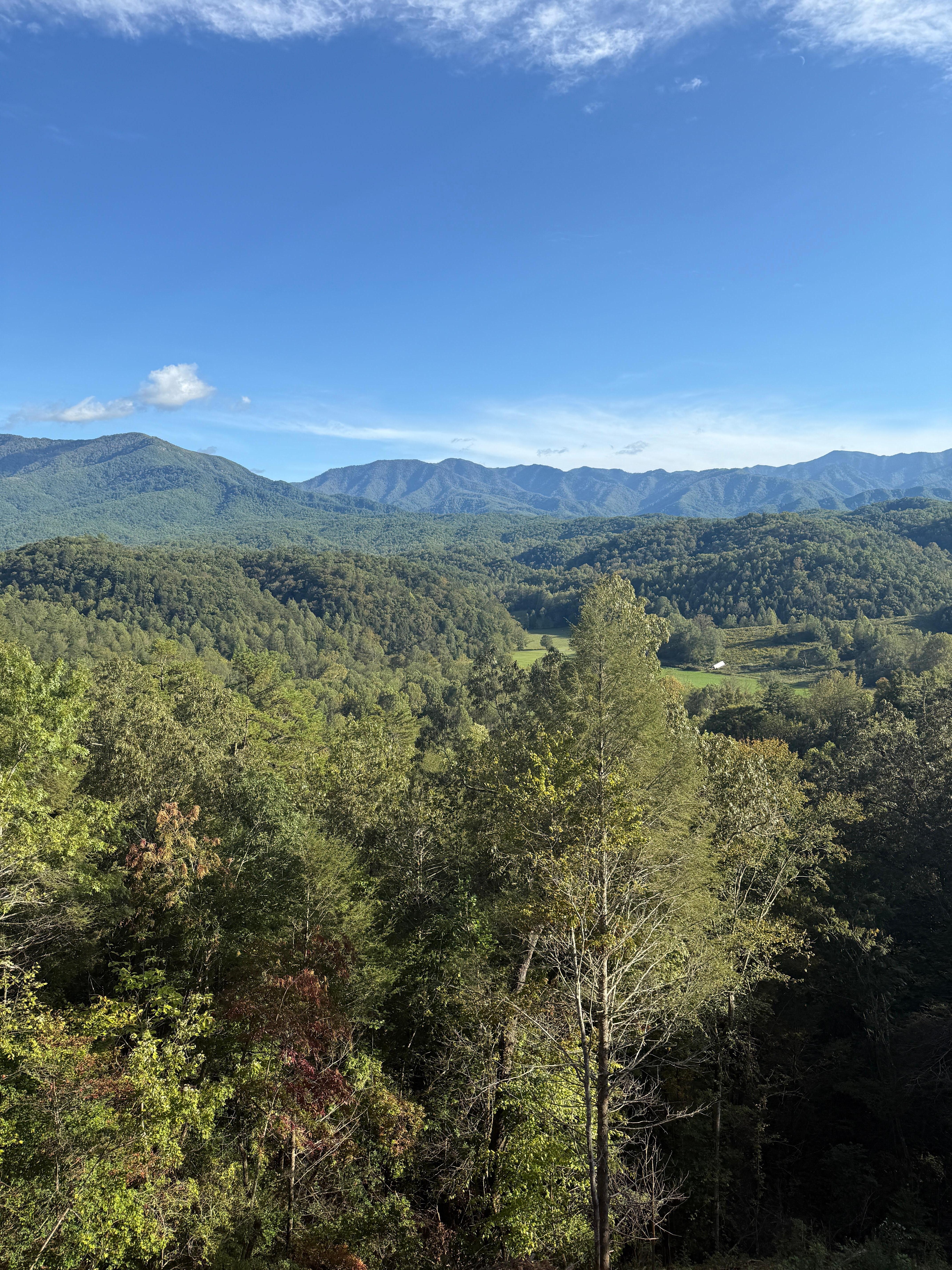 Captivating deck view