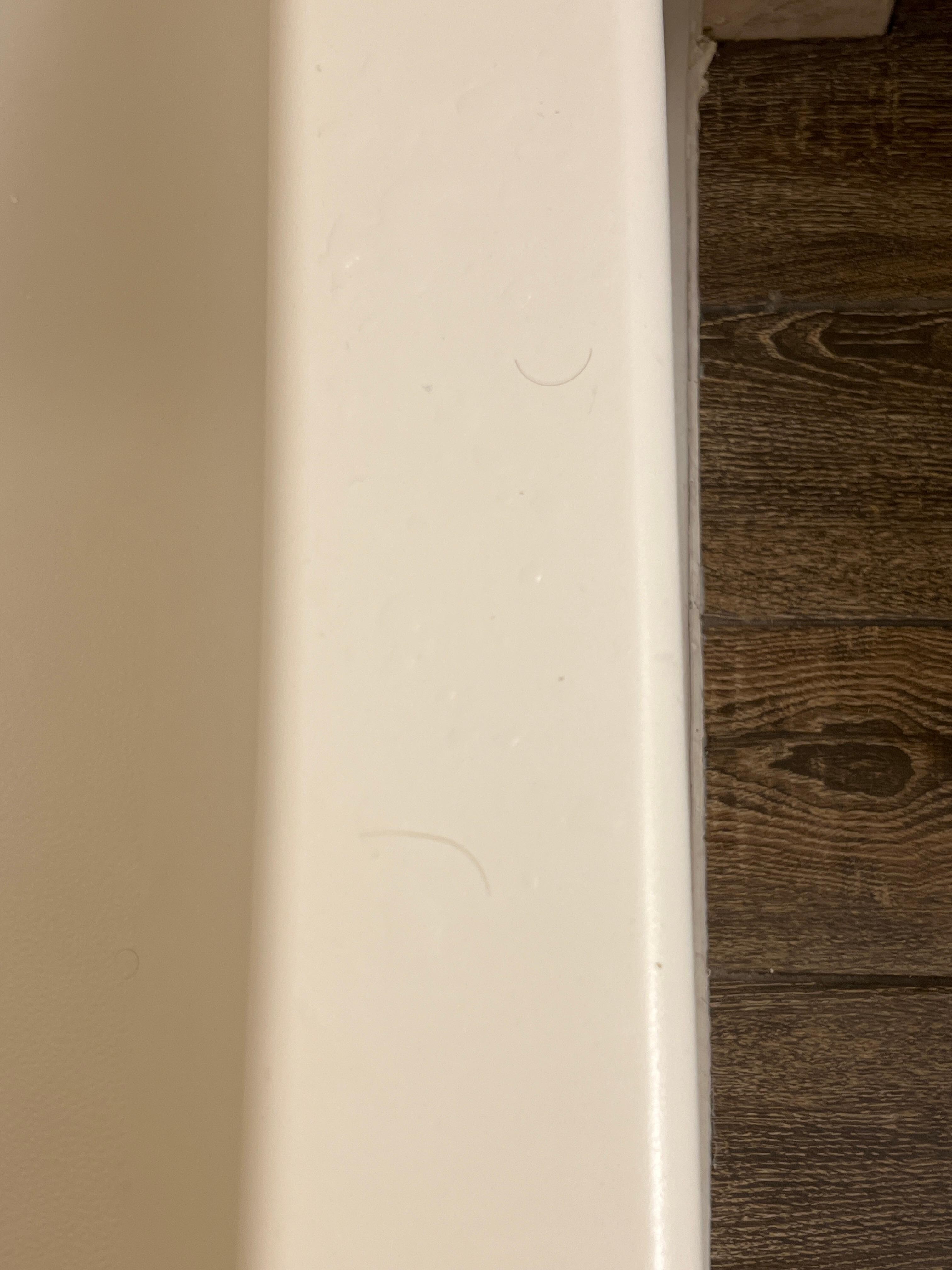 Hair on the shower tub