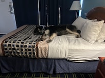 We slept so comfortably!