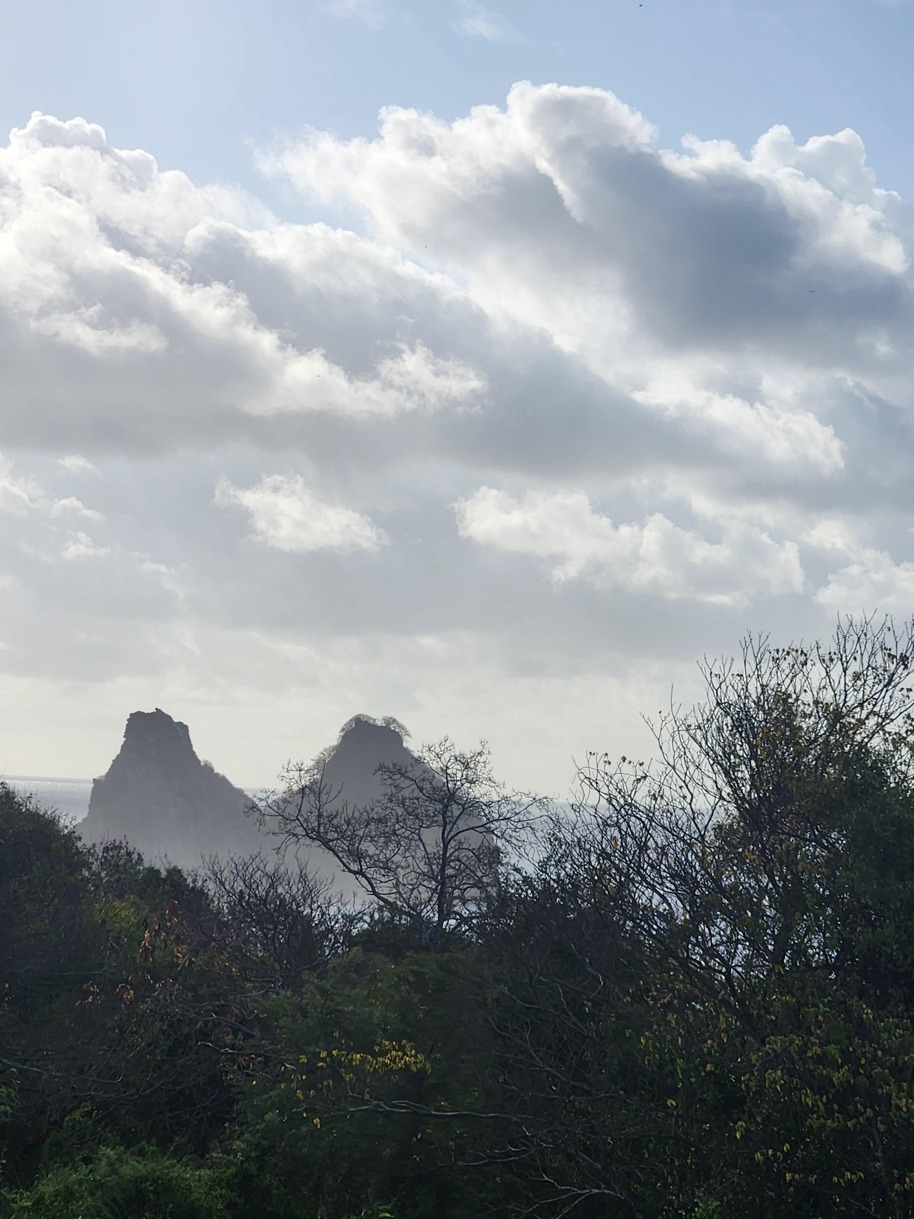 Tomar café da manhã com essa vista.