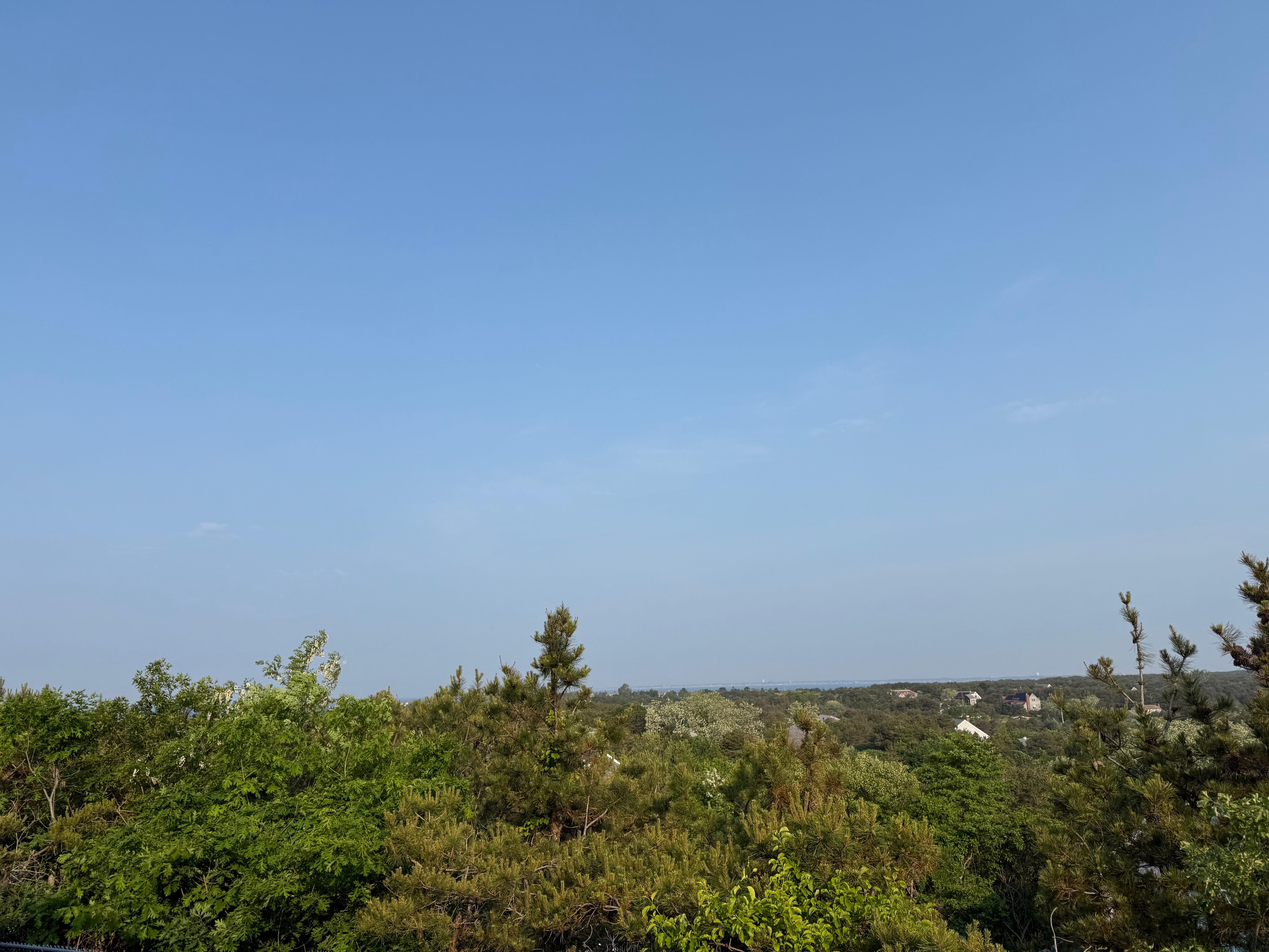 View from the room