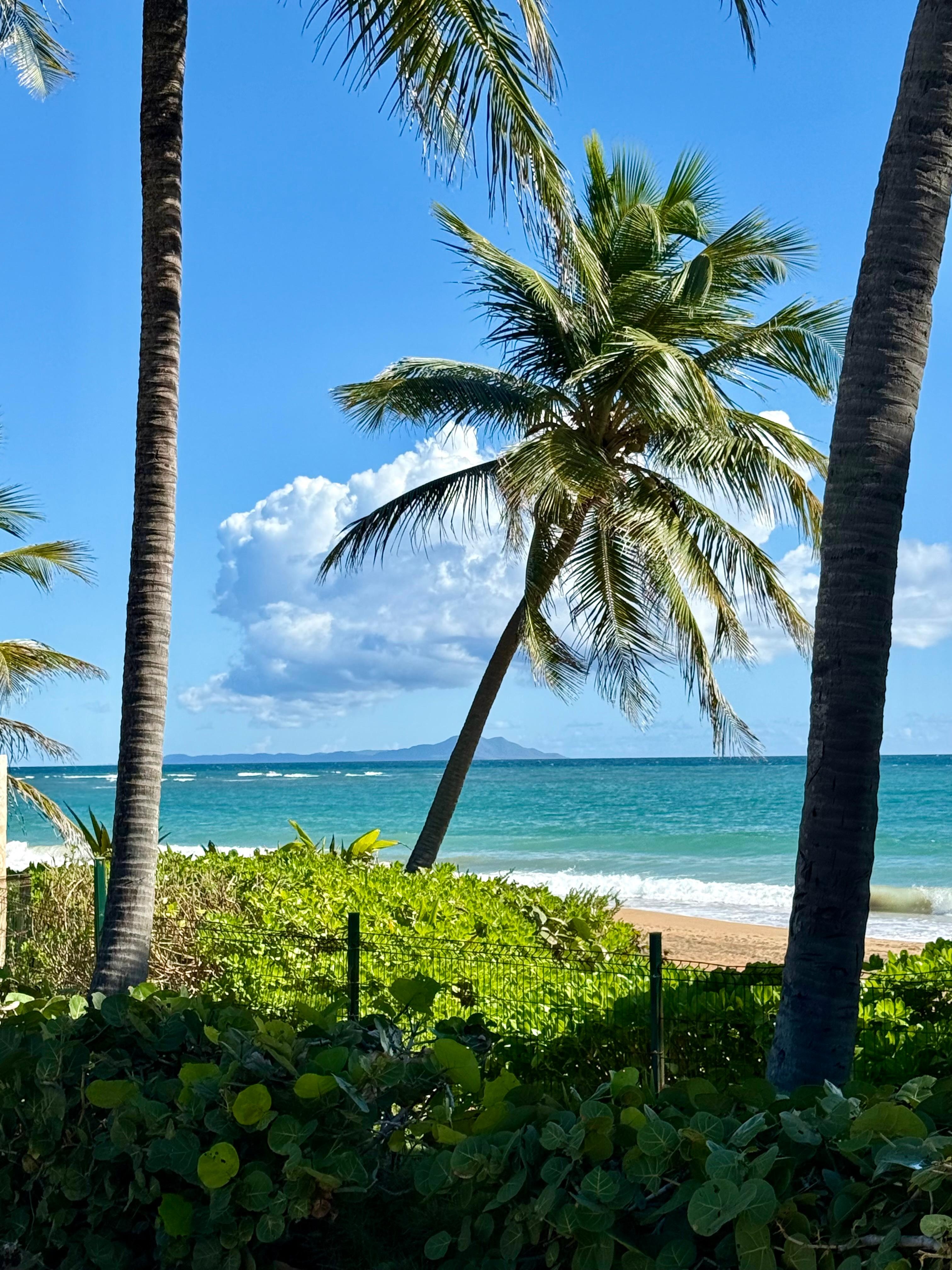 View of beach from pool area 