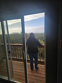 View out patio door. Amazing.
