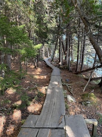 View along walk around Jordan Pond in Acadia National Park