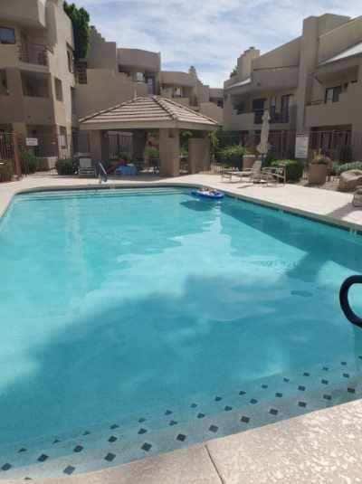 The pool 