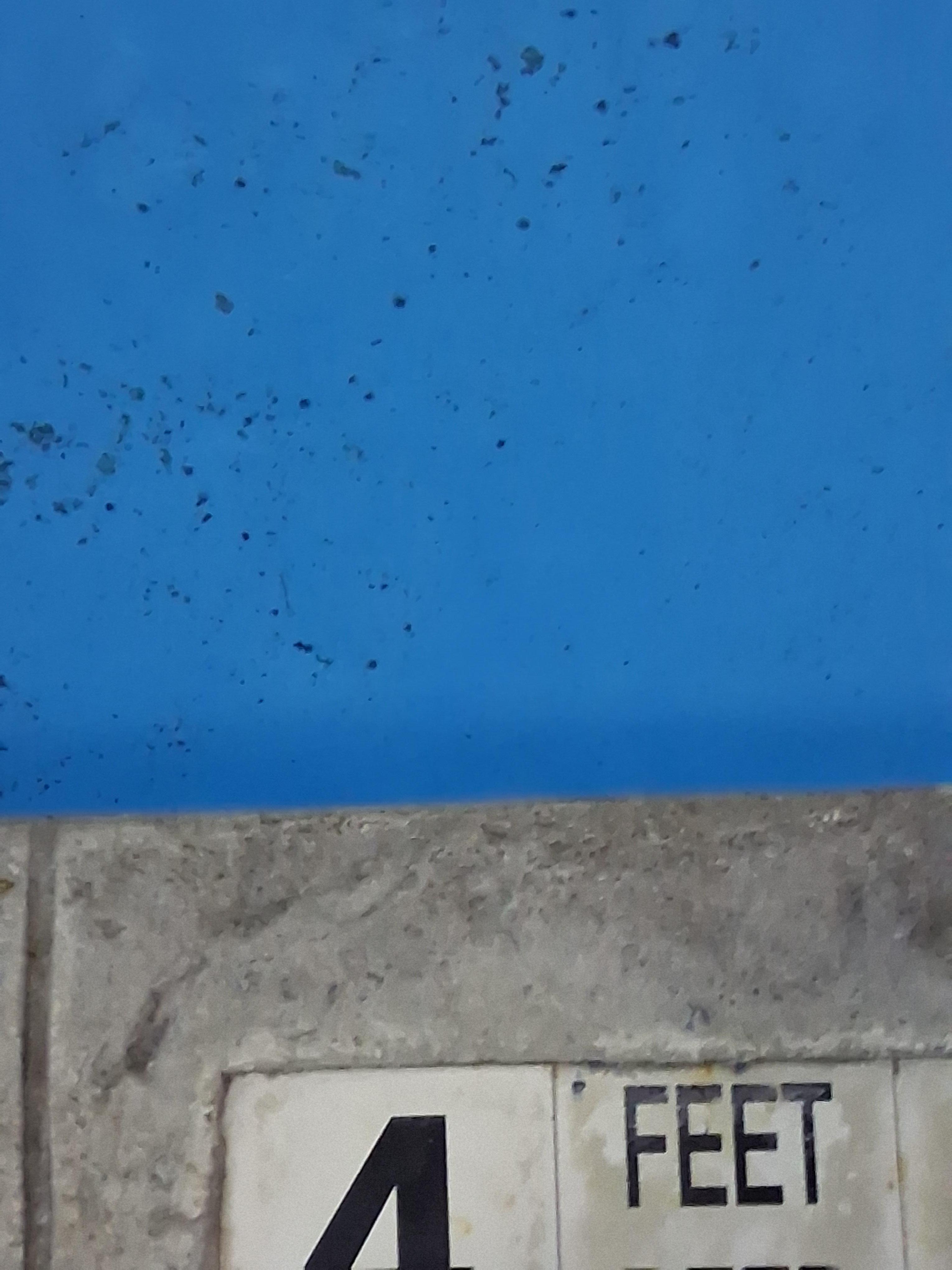 Pool was still dirty still cold and rocks all over the deck.