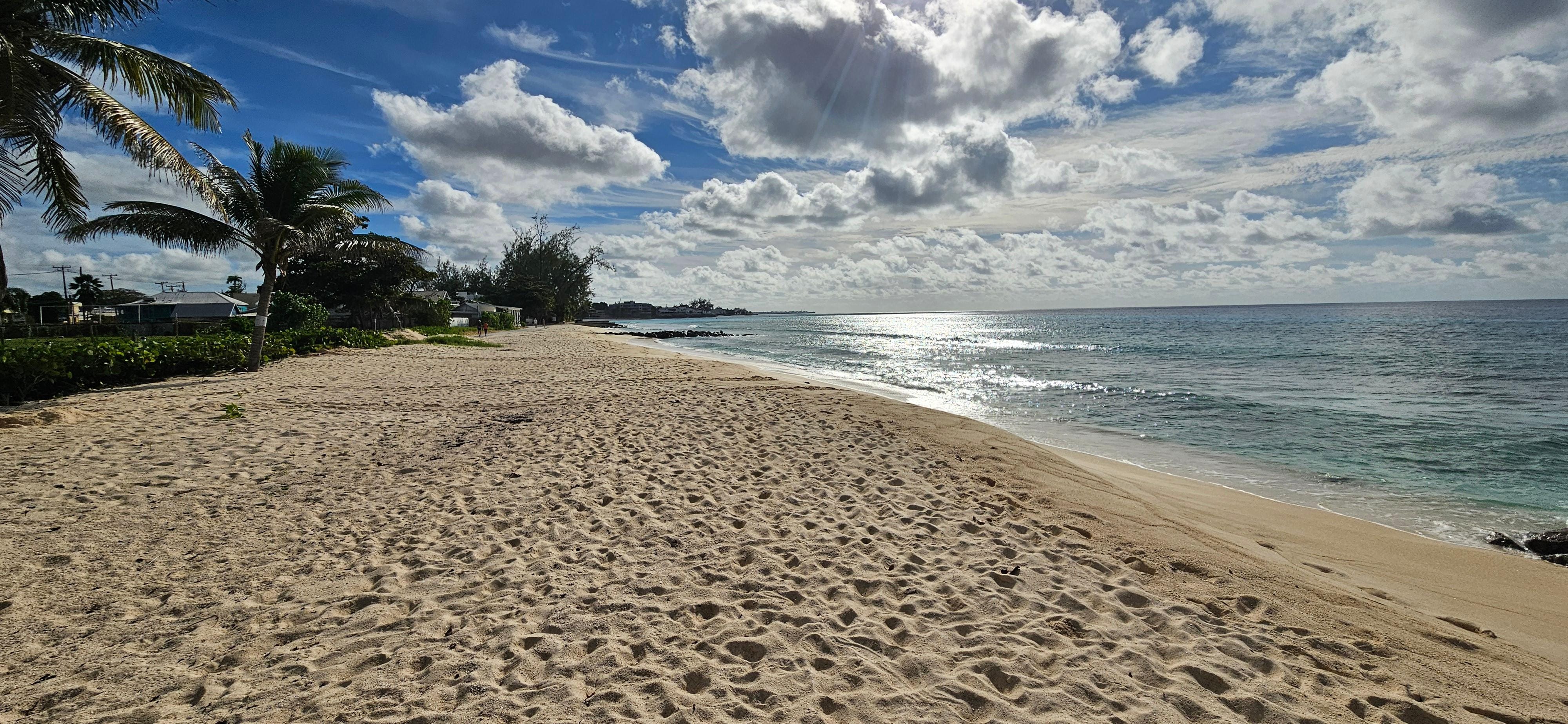View from the boardwalk