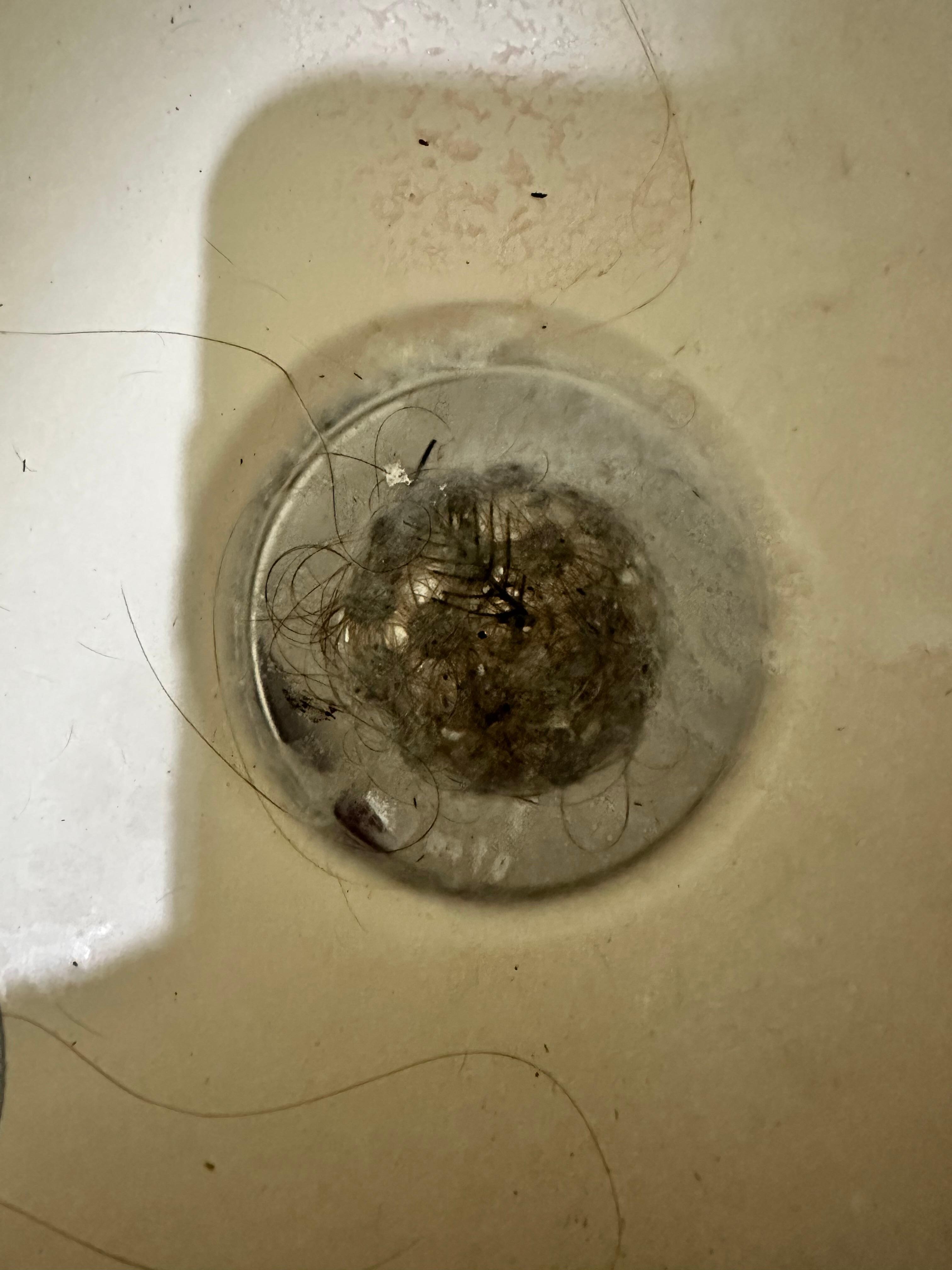 The drain in one of the bathrooms with the bathtub. We never did use this bathtub because it was so gross.