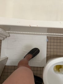 Cockroach