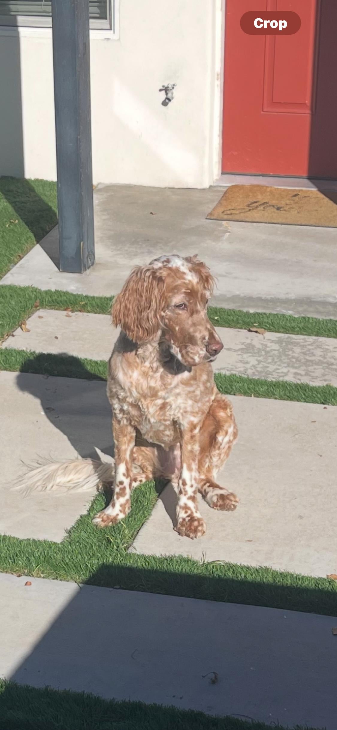 Loving the outdoor space