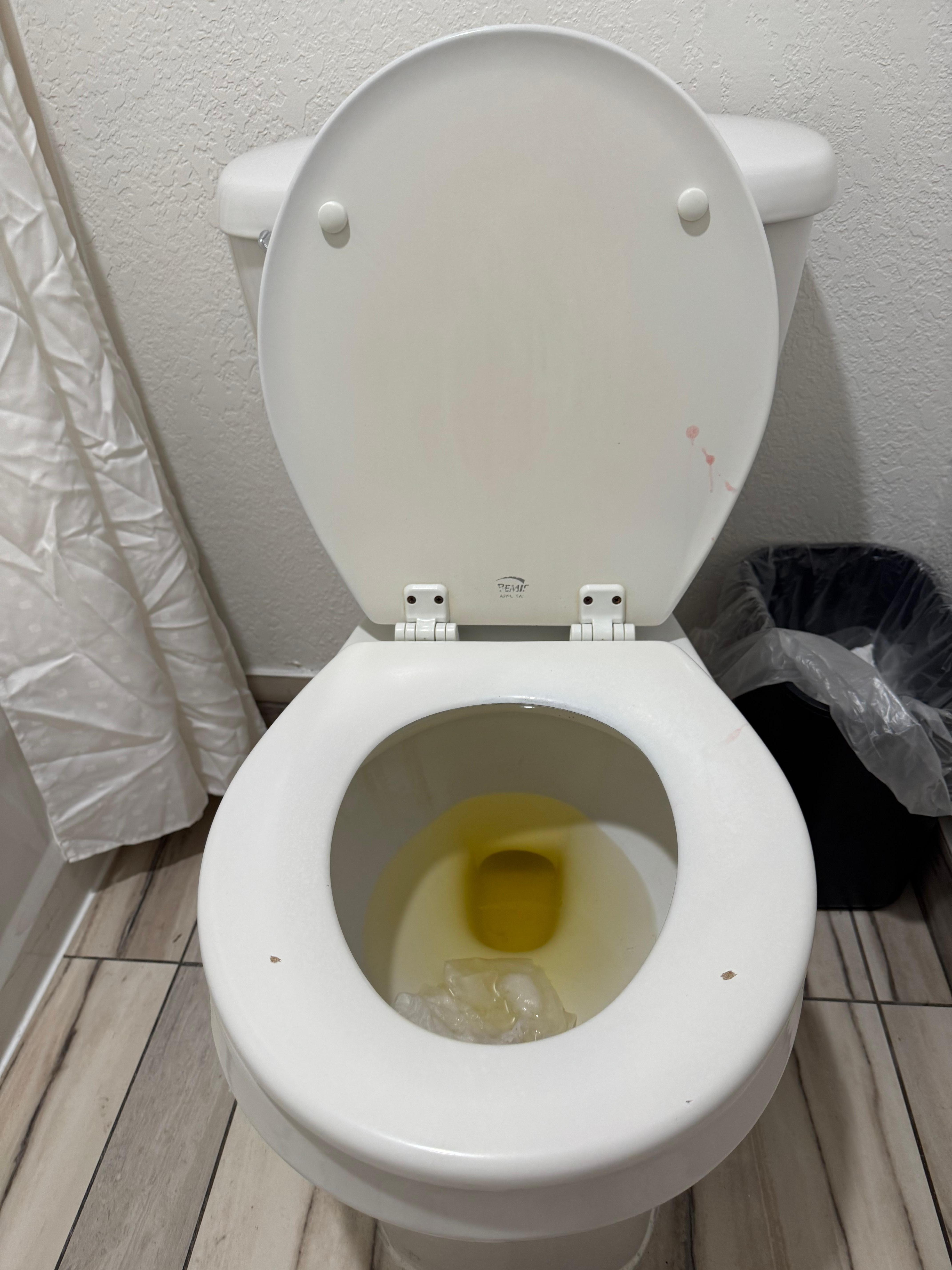 Dirty toilet upon check in