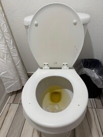 Dirty toilet upon check in